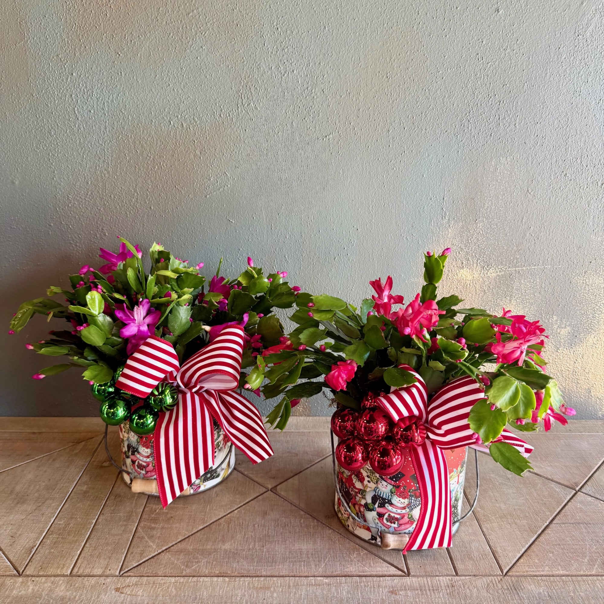 Send the plant lover in your life this festive Christmas Cactus to