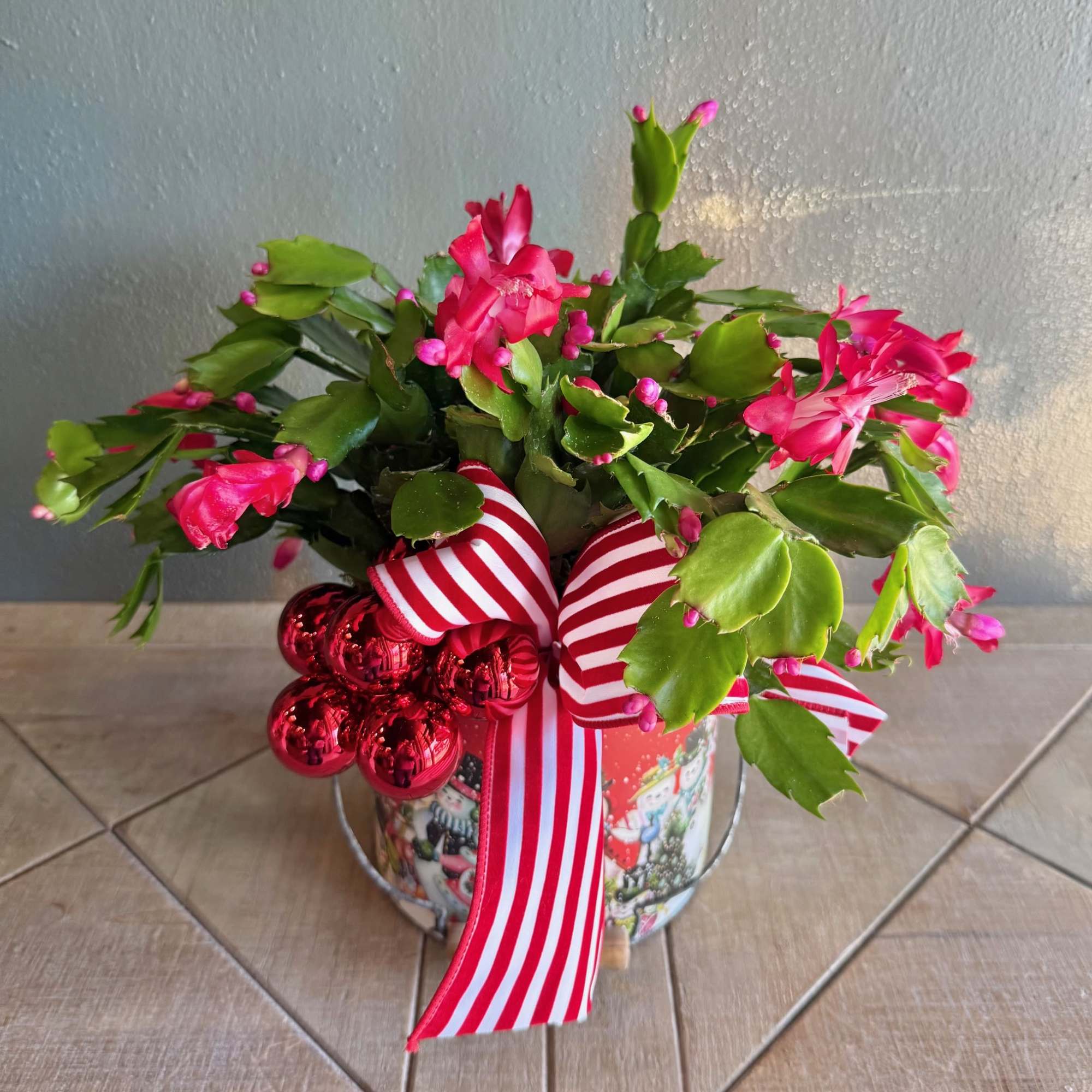 Send the plant lover in your life this festive Christmas Cactus to