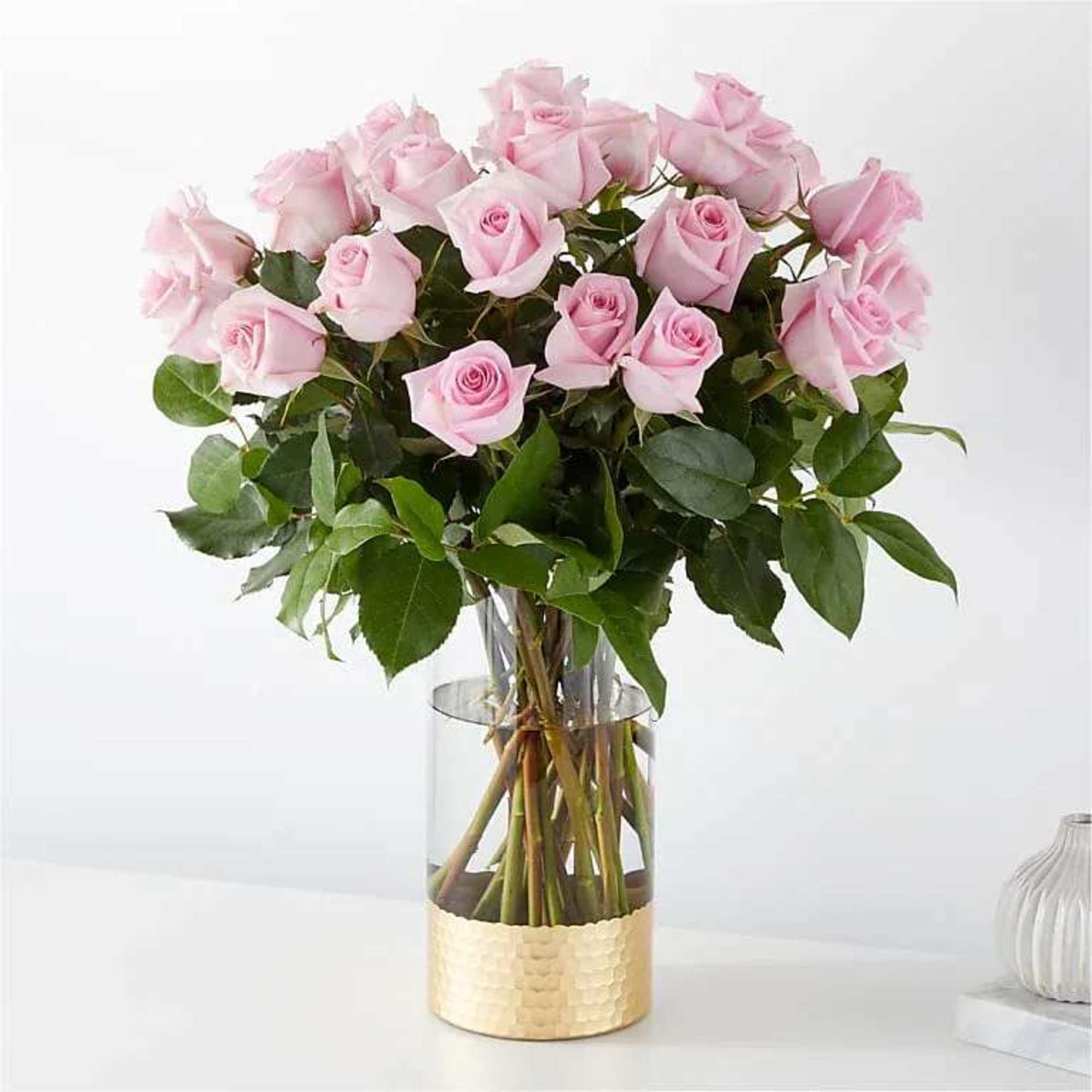 The picture perfect petals of pink roses gracefully unfold, showcasing their timeless