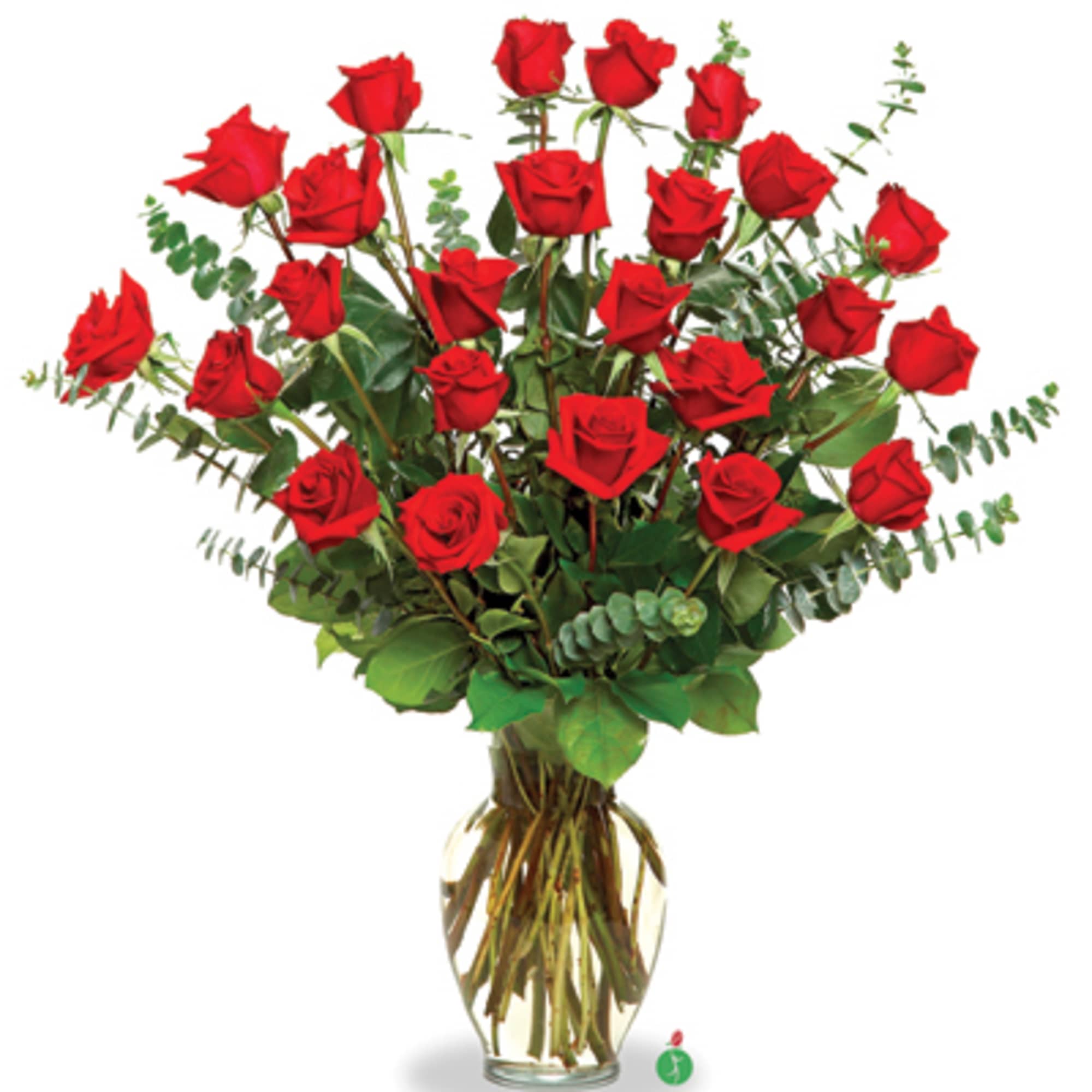 An impressive presentation of two dozen fragrant, long-stemmed red roses is a