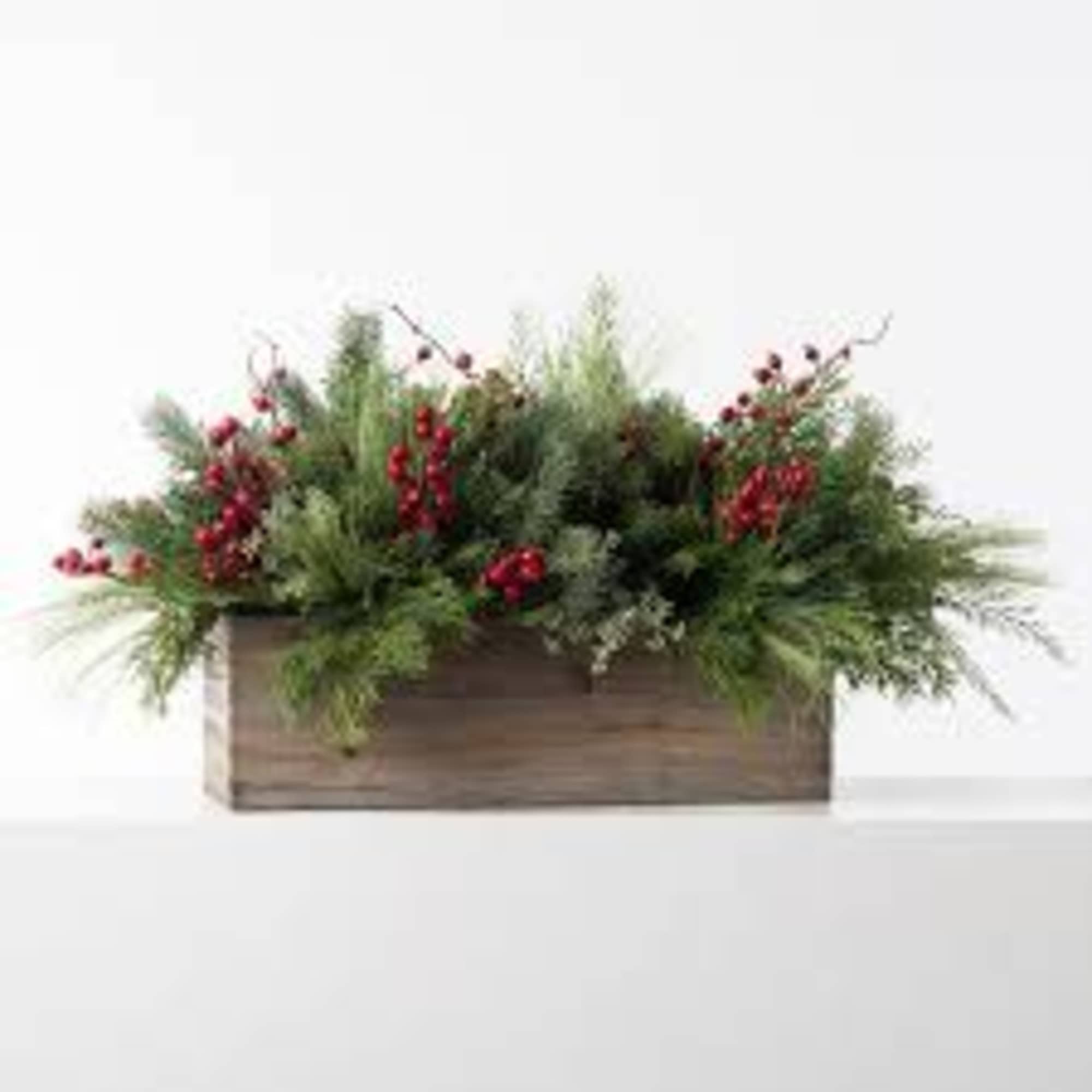 One dozen of the most festive roses plus fluffy baby's-breath.