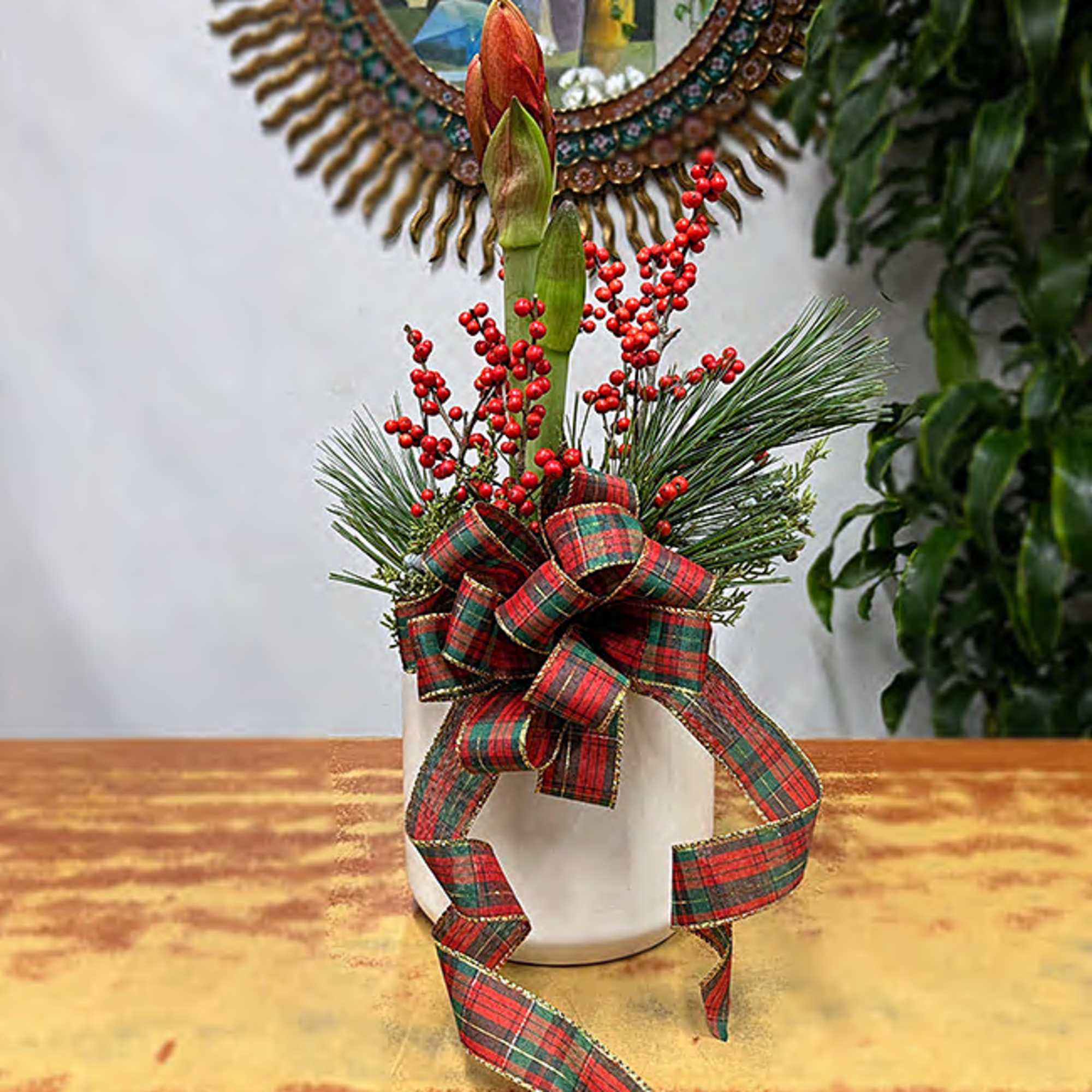 Send Merry Christmas wishes with this merry amaryllis! A Christmas tradition, this