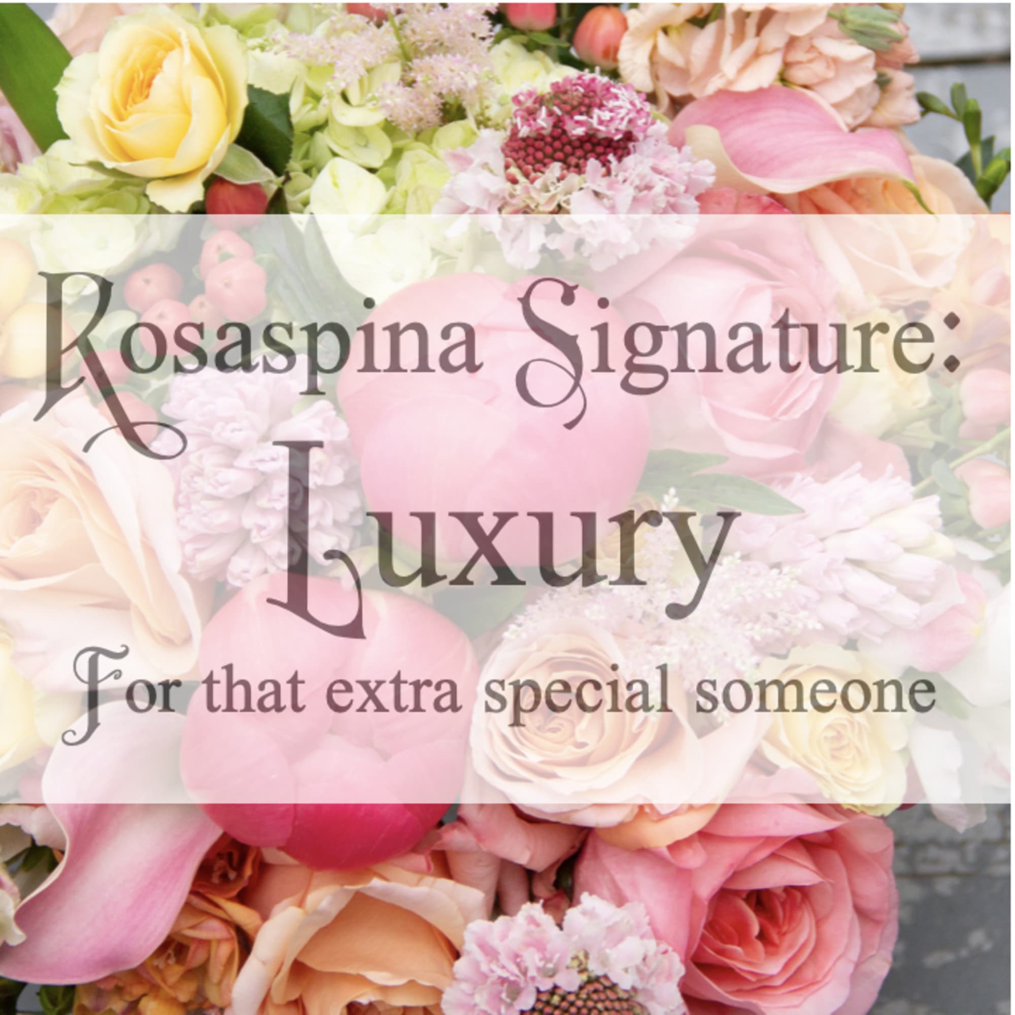 Looking to make a big impression? Let us put together something extra