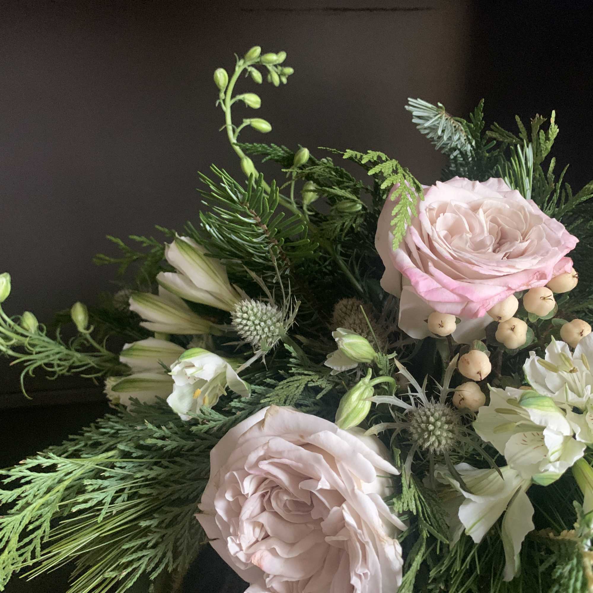 The Frost &amp; Fir Collection pairs lush fir and winter greens with