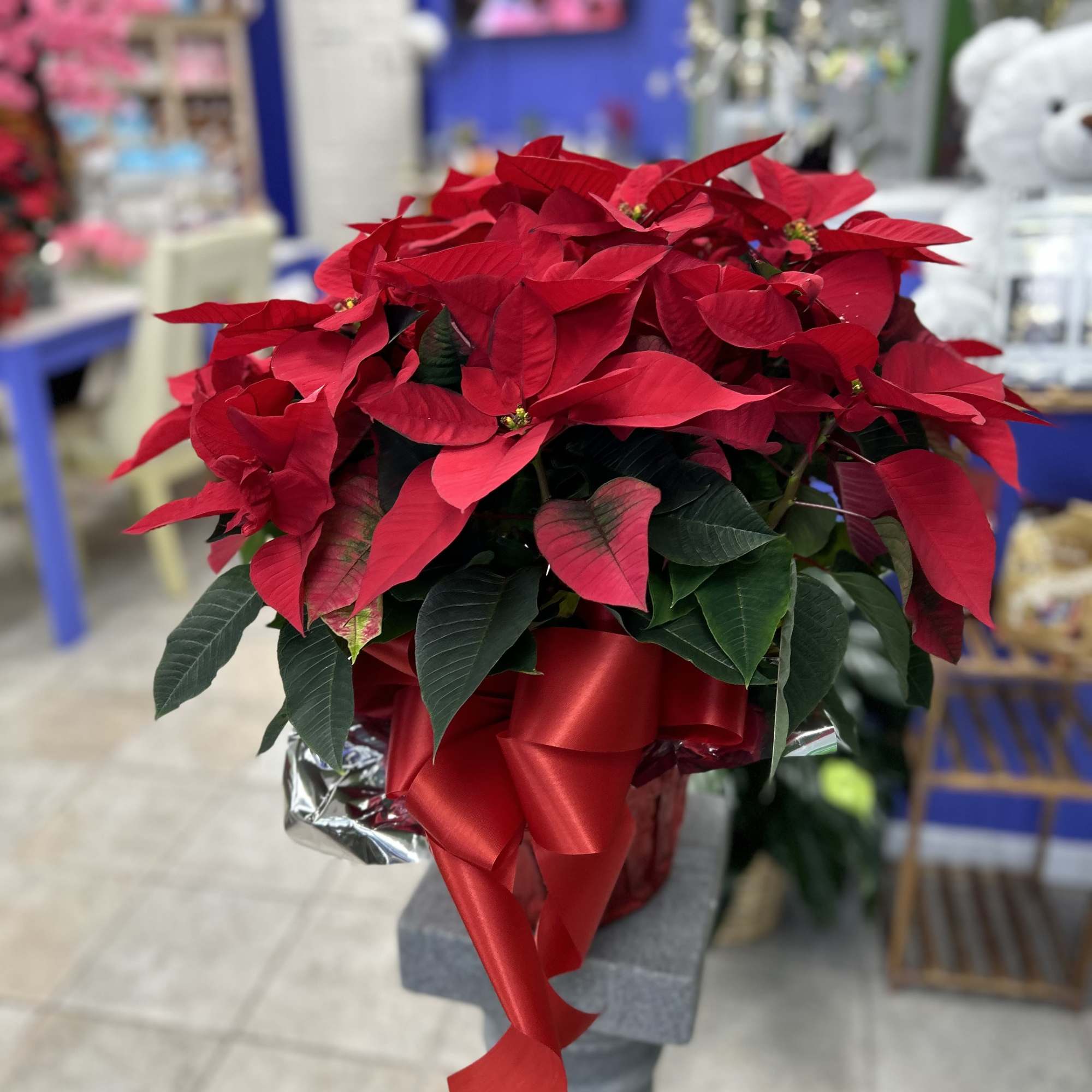 Special gift for your special ones 