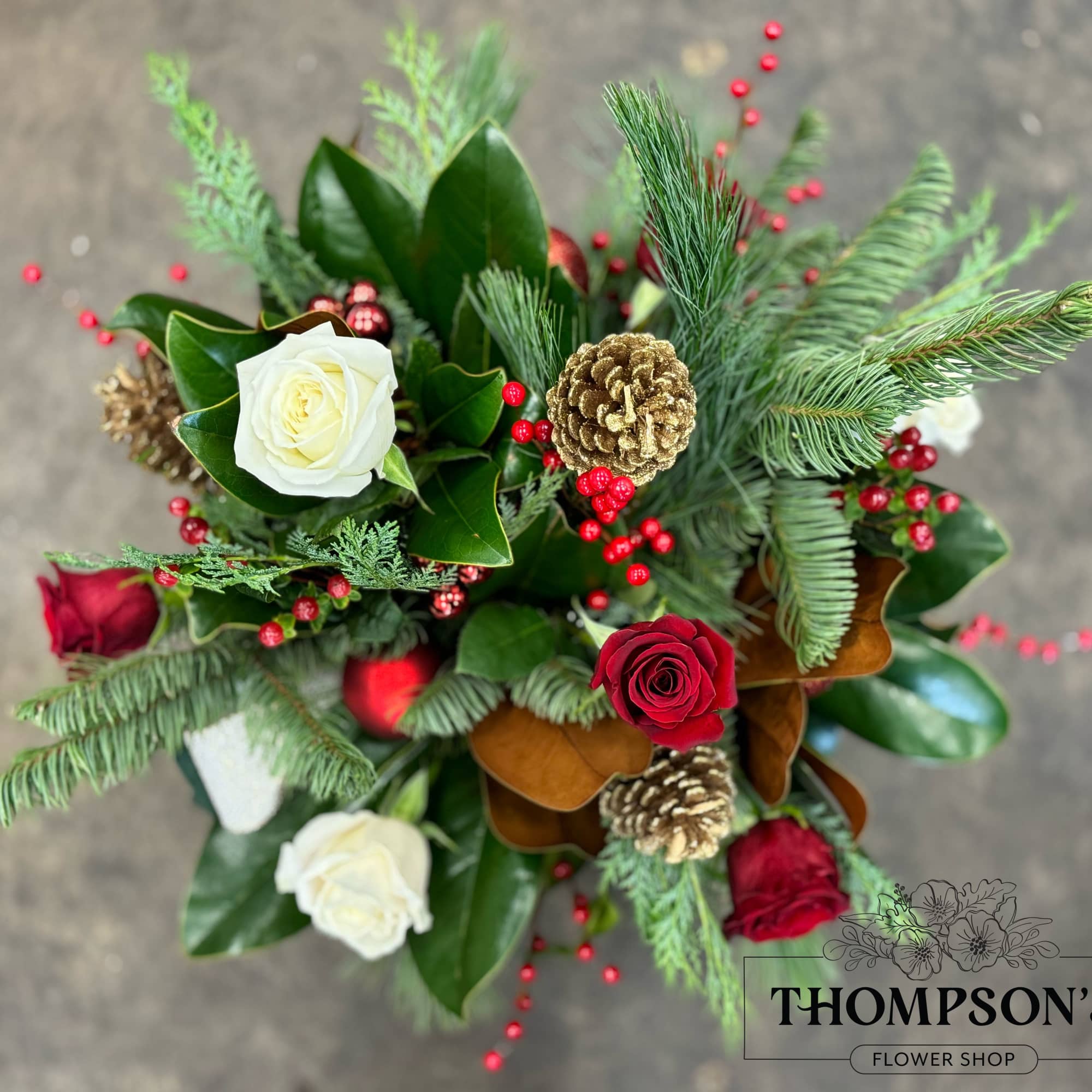 Bring home the timeless beauty of the season with Evergreen, a stately