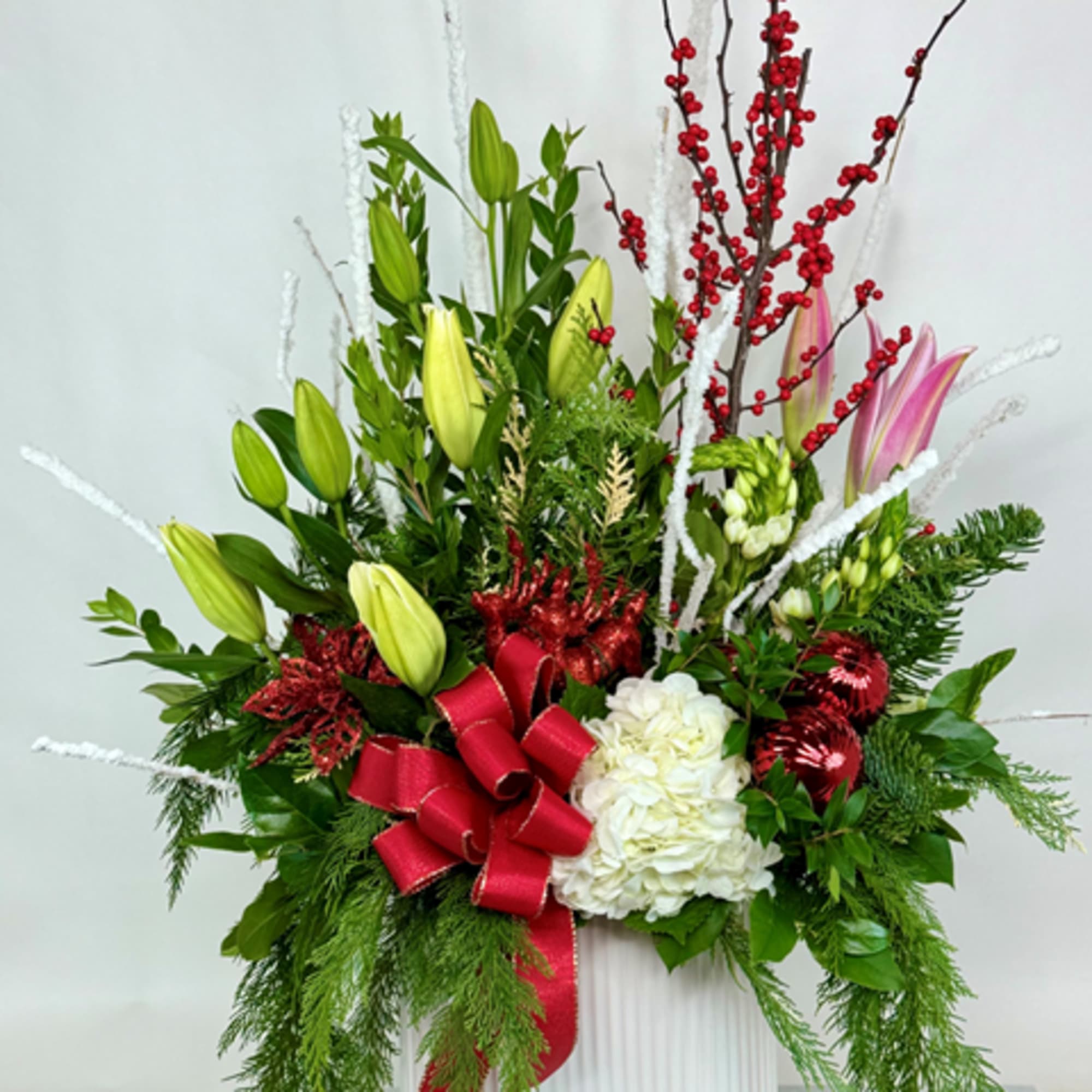 Premium multi plant poinsettia in a white container with big red bow