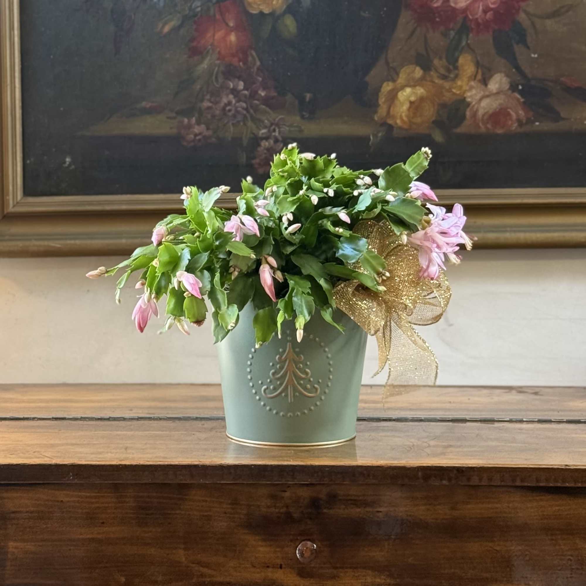 Pink or red we will choose the nicest plant available - Lovely