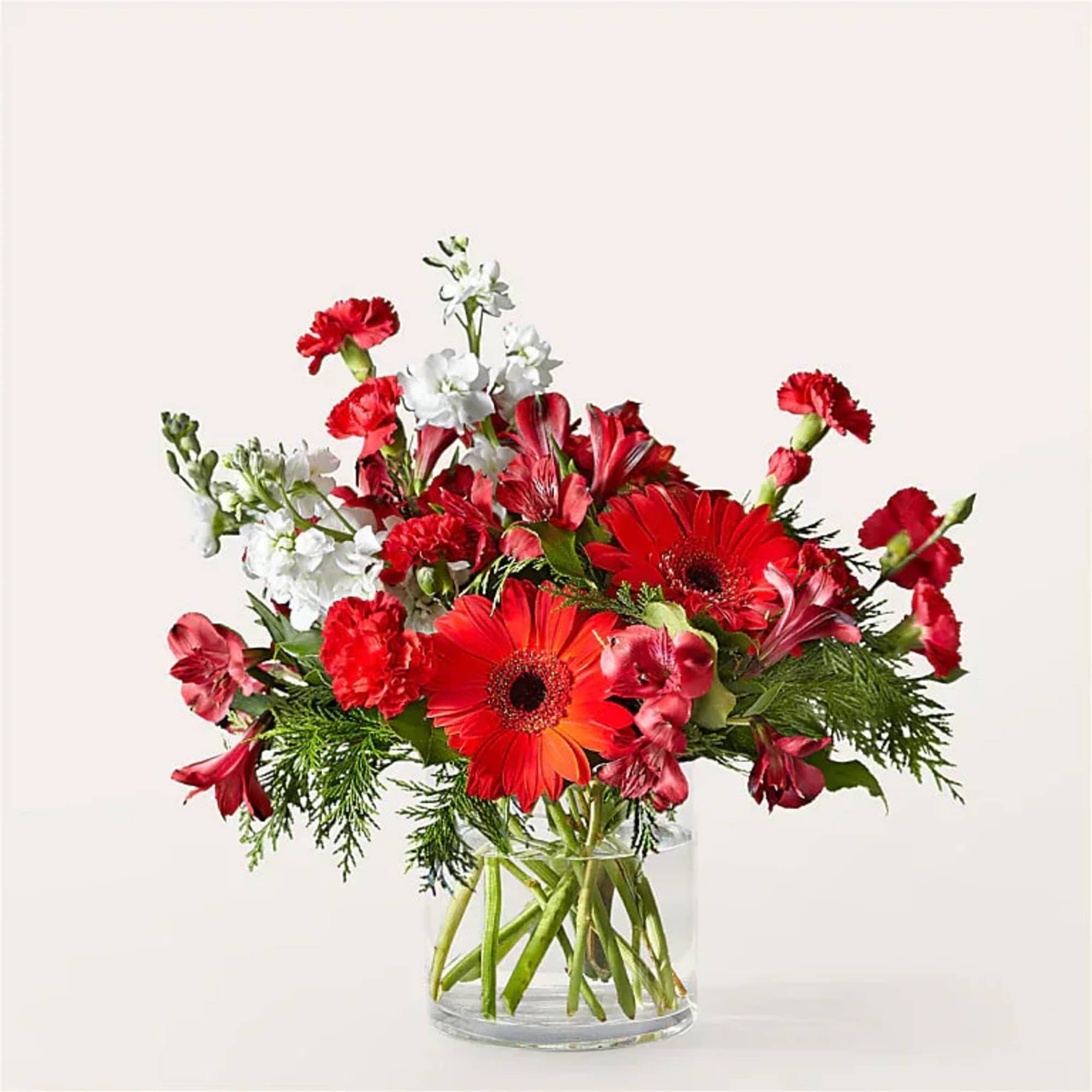 Happy Holidaisy! Share your heartfelt message through vibrant red daisies and crisp