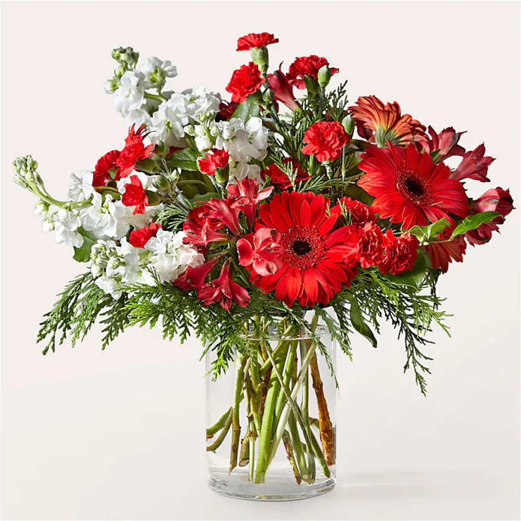 Happy Holidaisy! Share your heartfelt message through vibrant red daisies and crisp