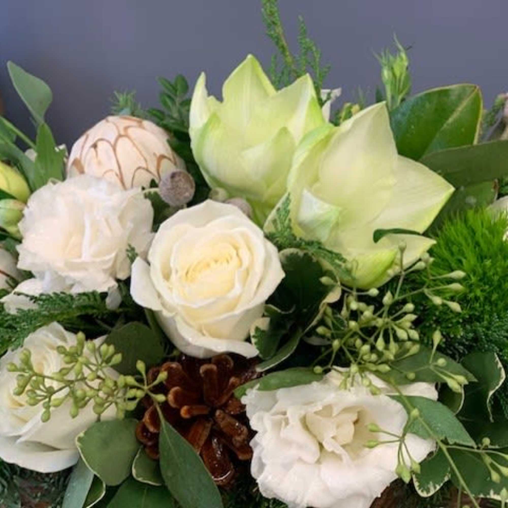 Box design in shades of white and green: amaryllis, roses, lisianthus, pine