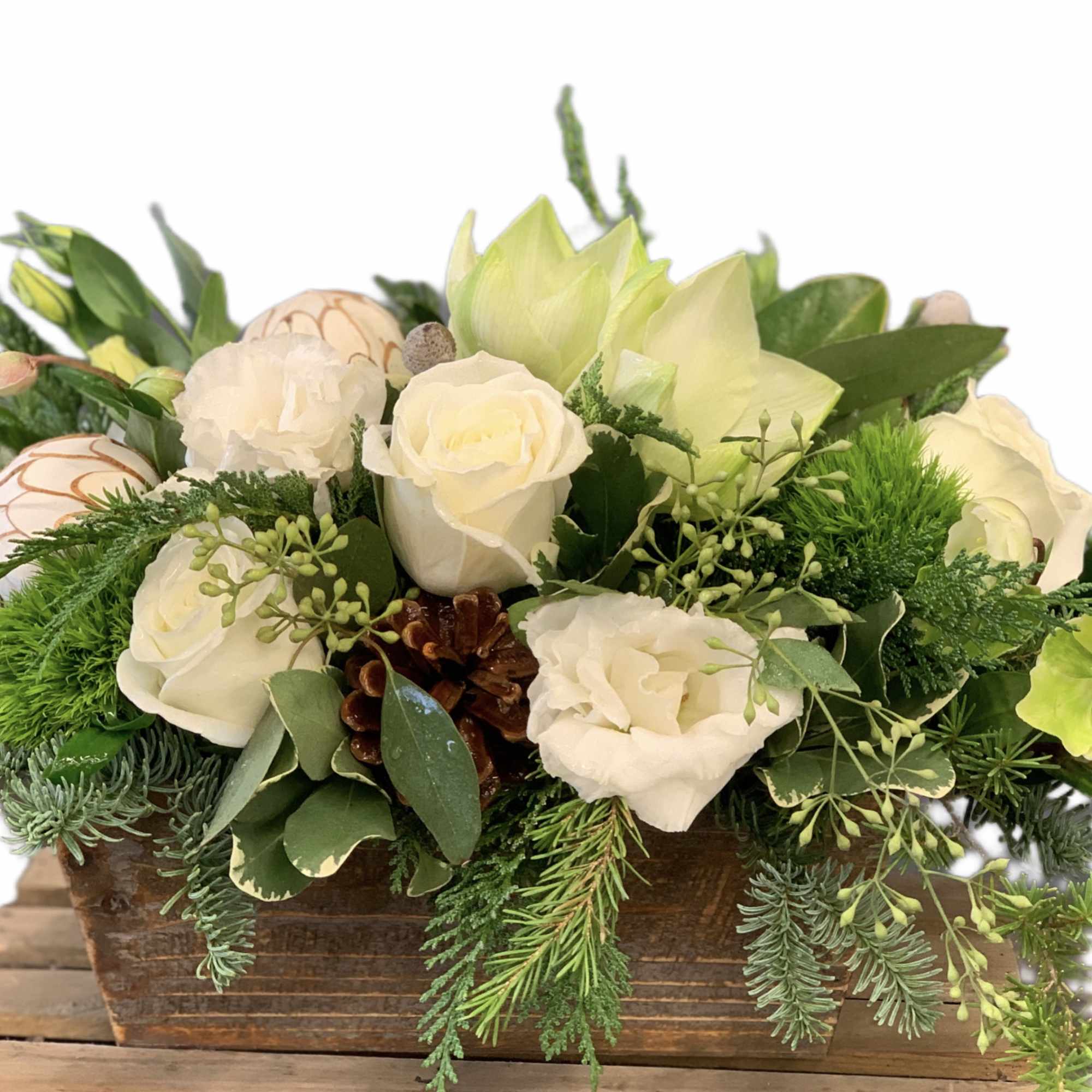 Box design in shades of white and green: amaryllis, roses, lisianthus, pine