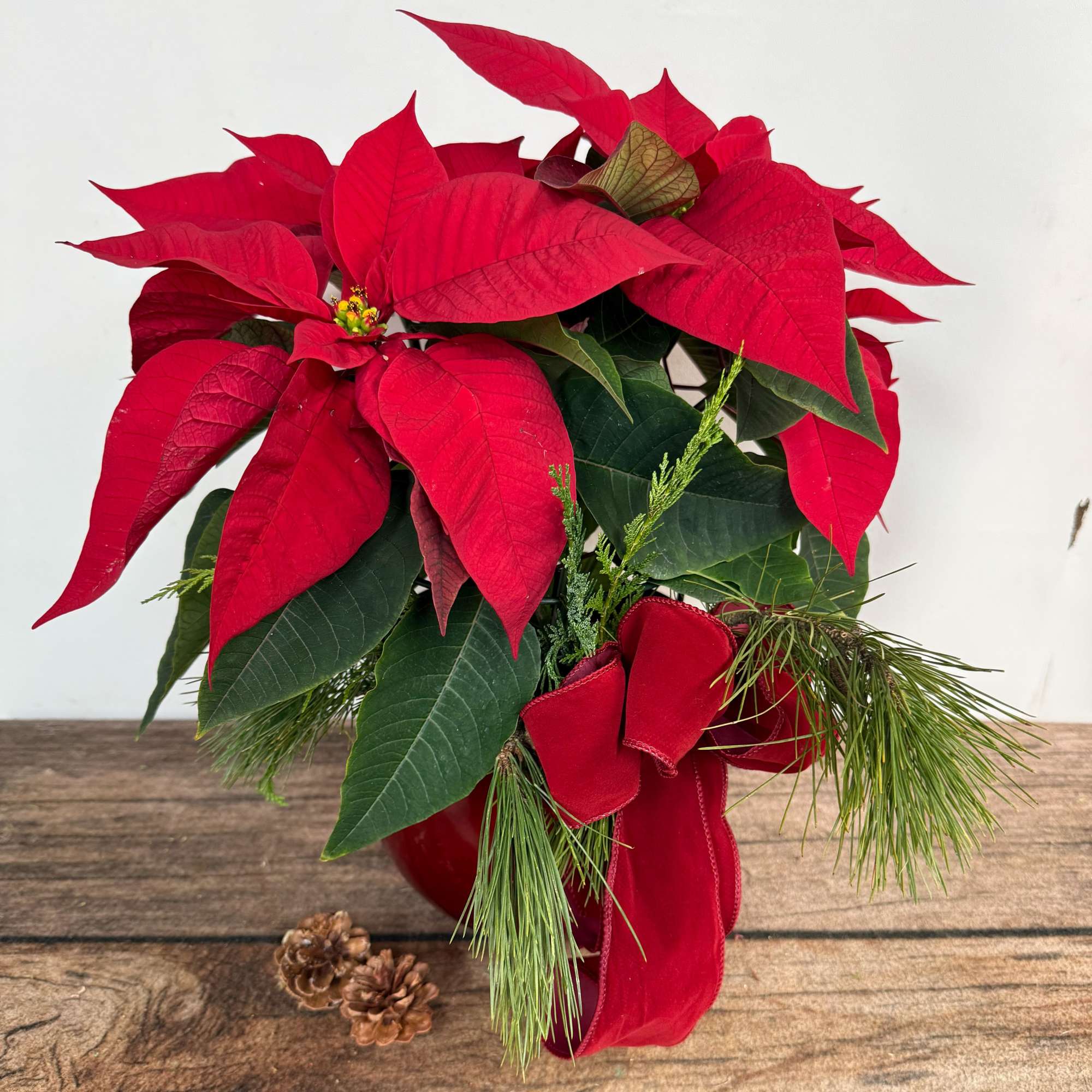 Always fresh with beautiful flowers. A classic holiday gift in a keepsake