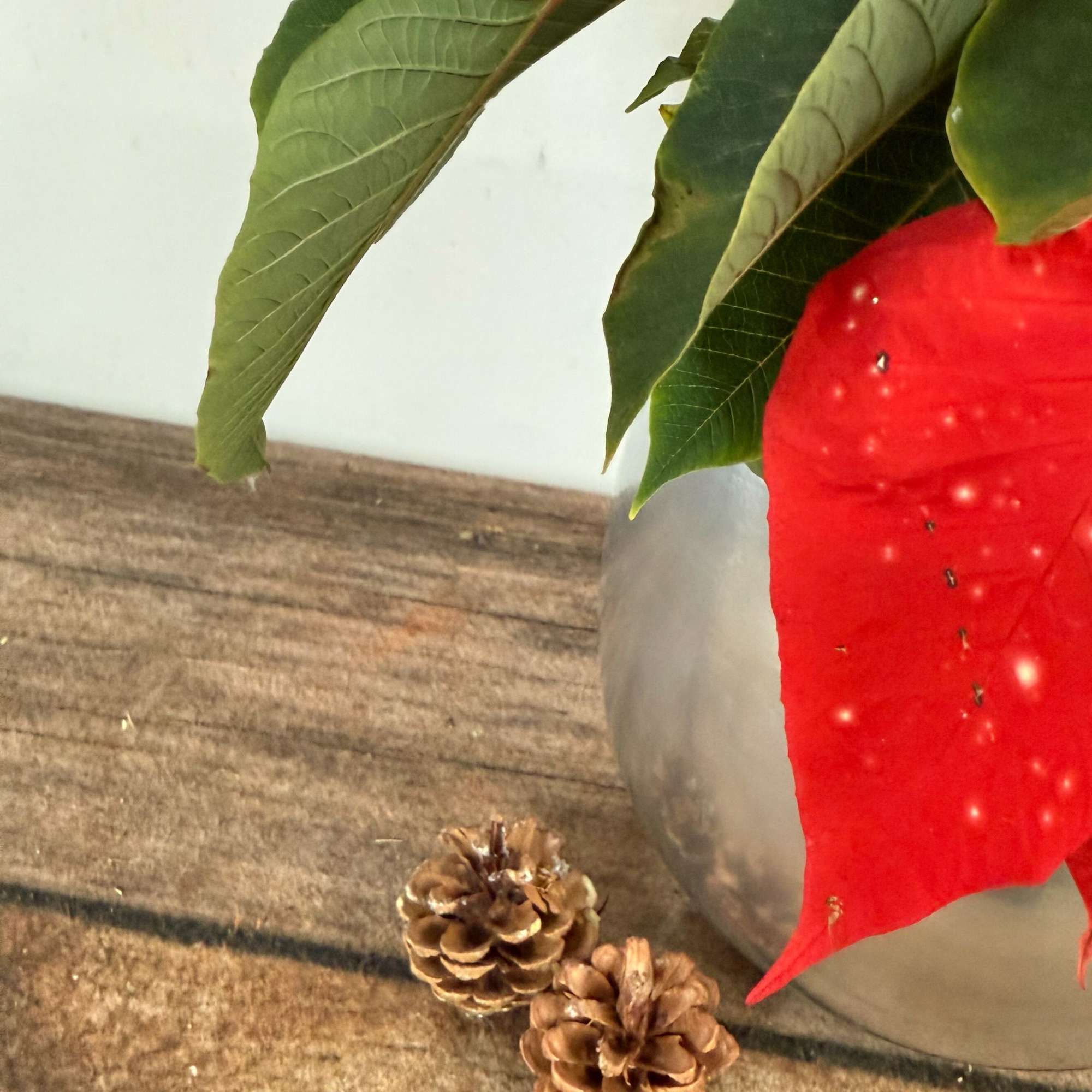 Always fresh with beautiful flowers. A classic holiday gift in a keepsake