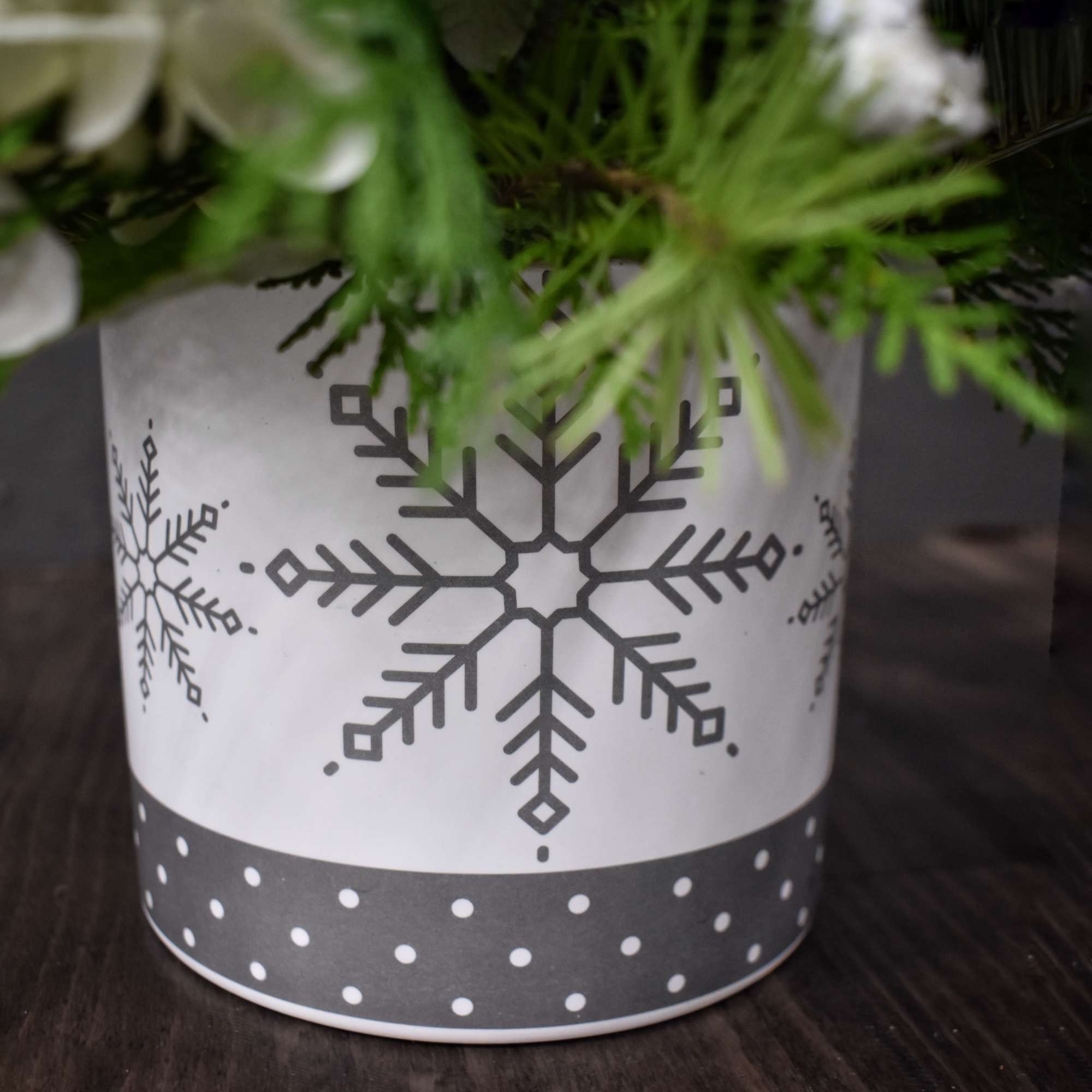 A snowy wonder, but without the snow! A large white hydrangea and