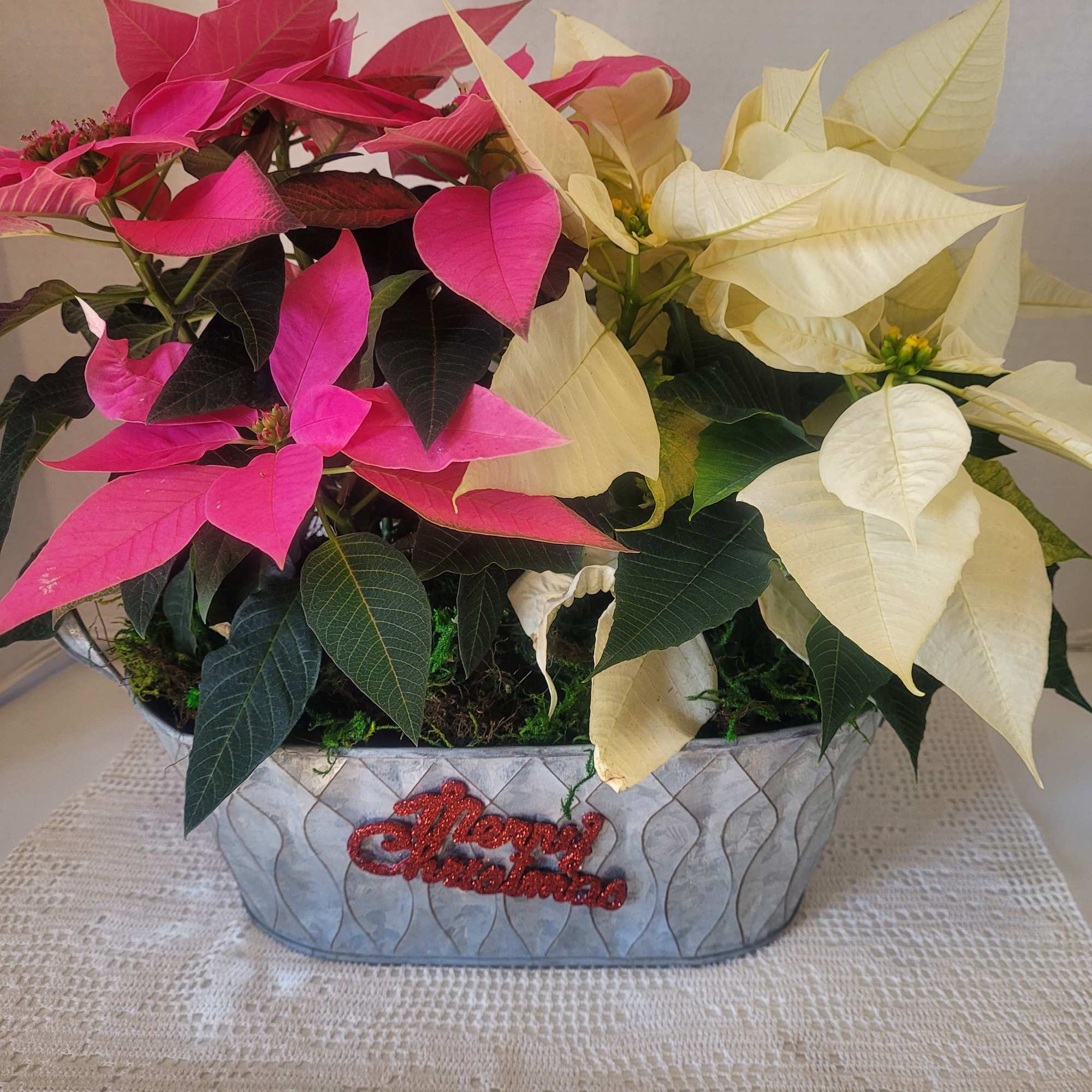 A very festive combo of pink and white poinsettias. Add a splash