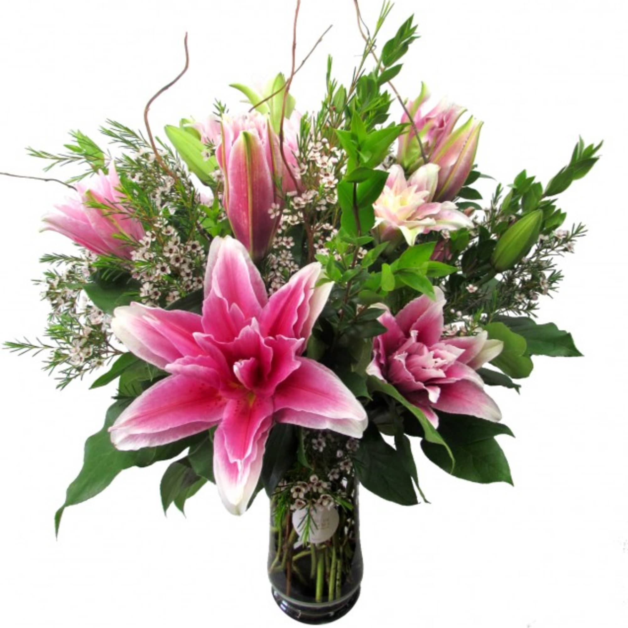 The Rose Lily is a hot new hybrid! Instead of six petals