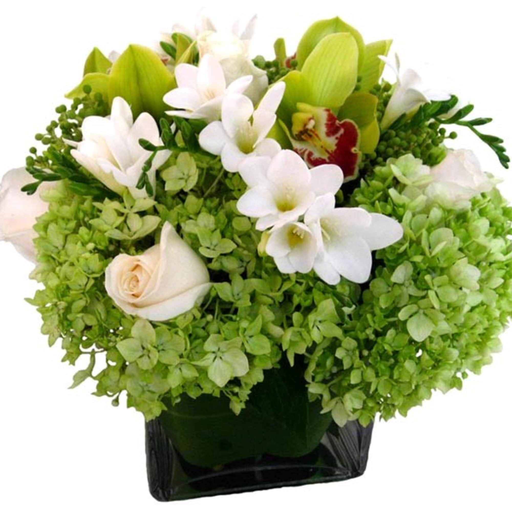 Simple, elegant and classic. Premium floral arrangement of Hydrangeas, Cymbidium Orchids, Roses
