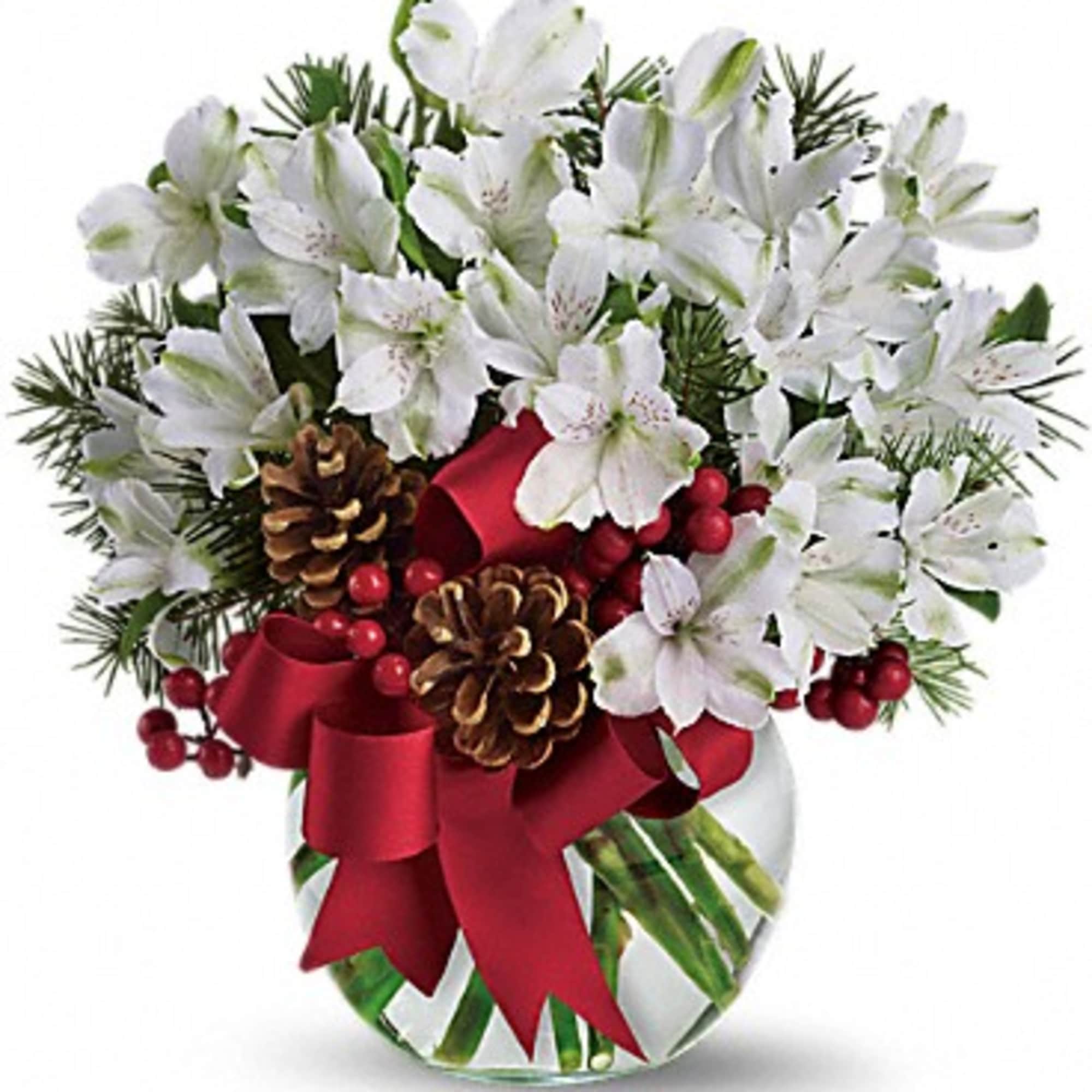 Fresh as new fallen snow. Delicate, snow white flowers are decorated with