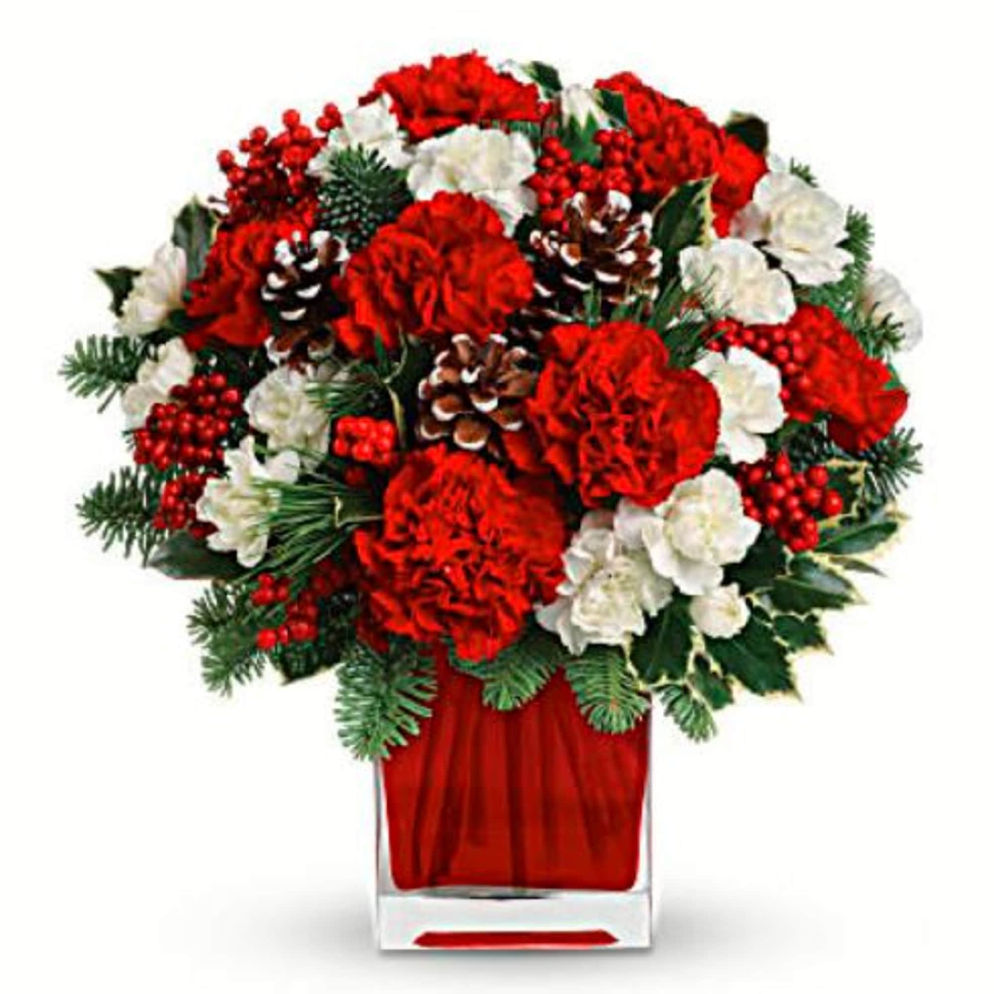 Make them merry with this sweet bouquet! Red carnations and white carnations