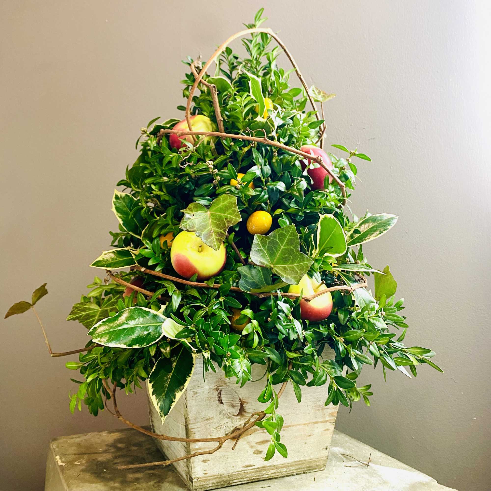 This holiday boxwood tree is dressed with petite Lady Apples, natural vines