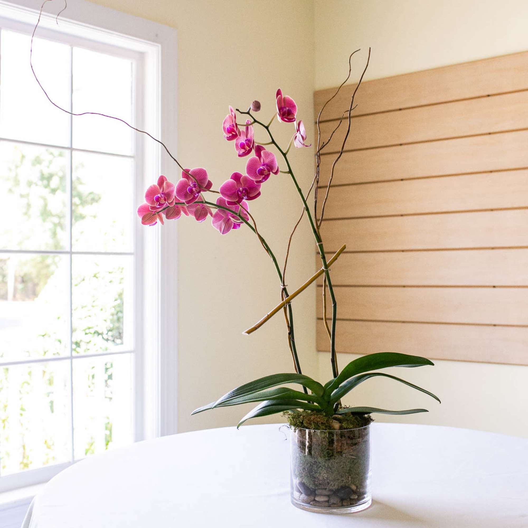 One Phaelaenopsis orchid placed in a beautiful glass, stone, or ceramic container.