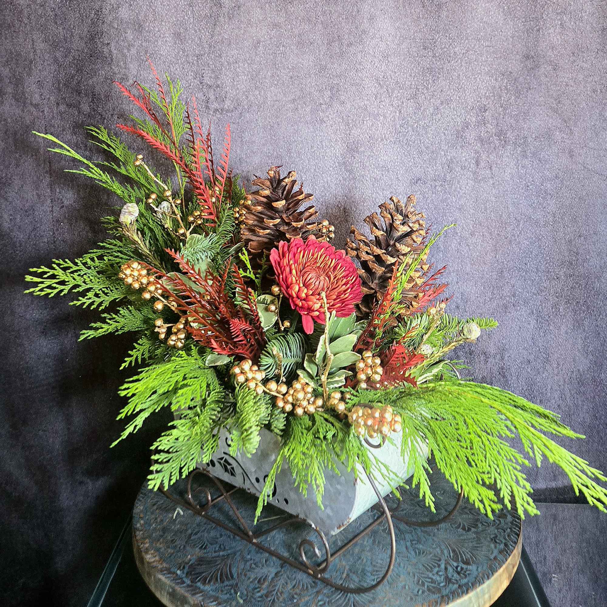 Celebrate the Winter months with an evergreen &quot;Sleigh Ride&quot;, decorated with mums