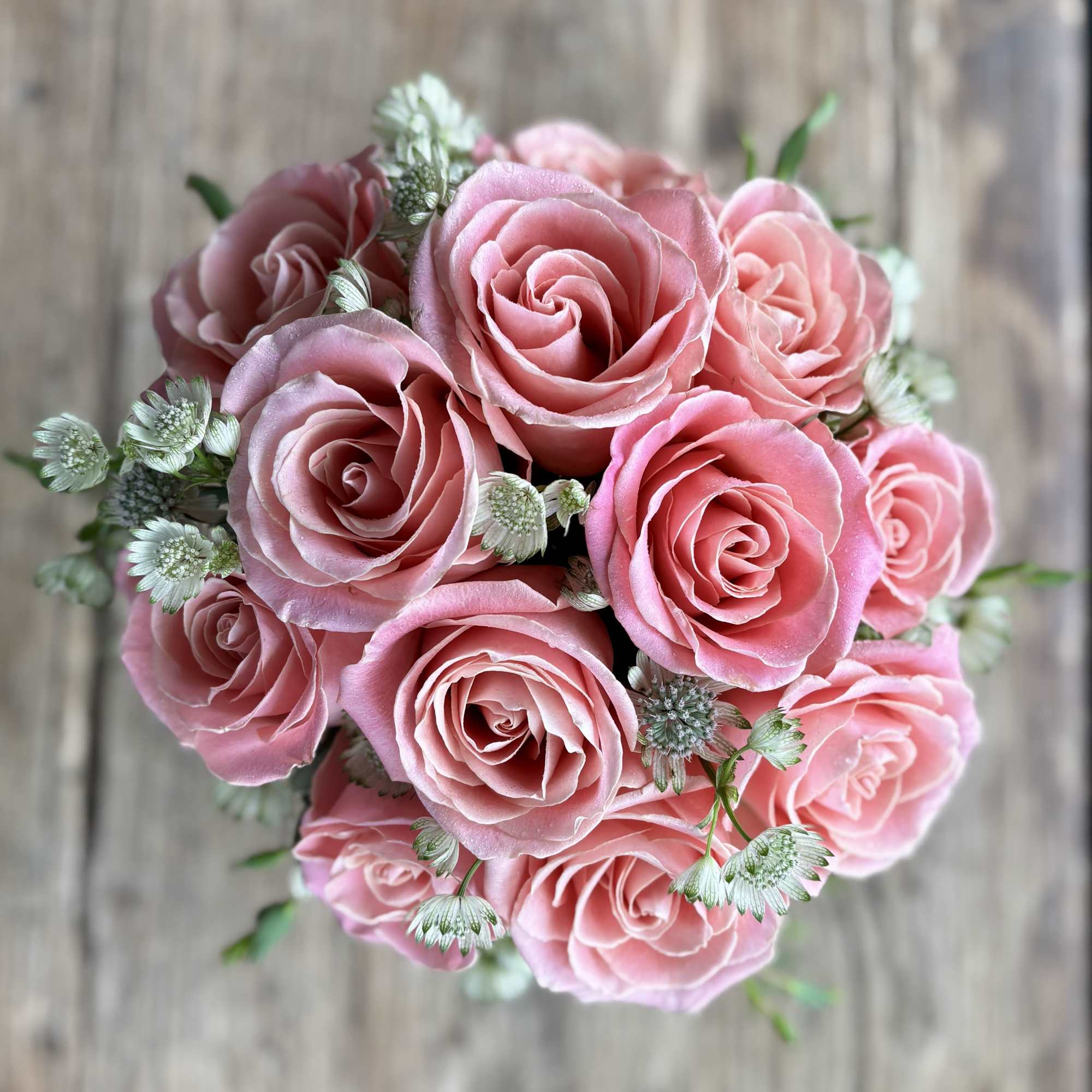 12 premium pink roses in a low and lush style! Perfect for