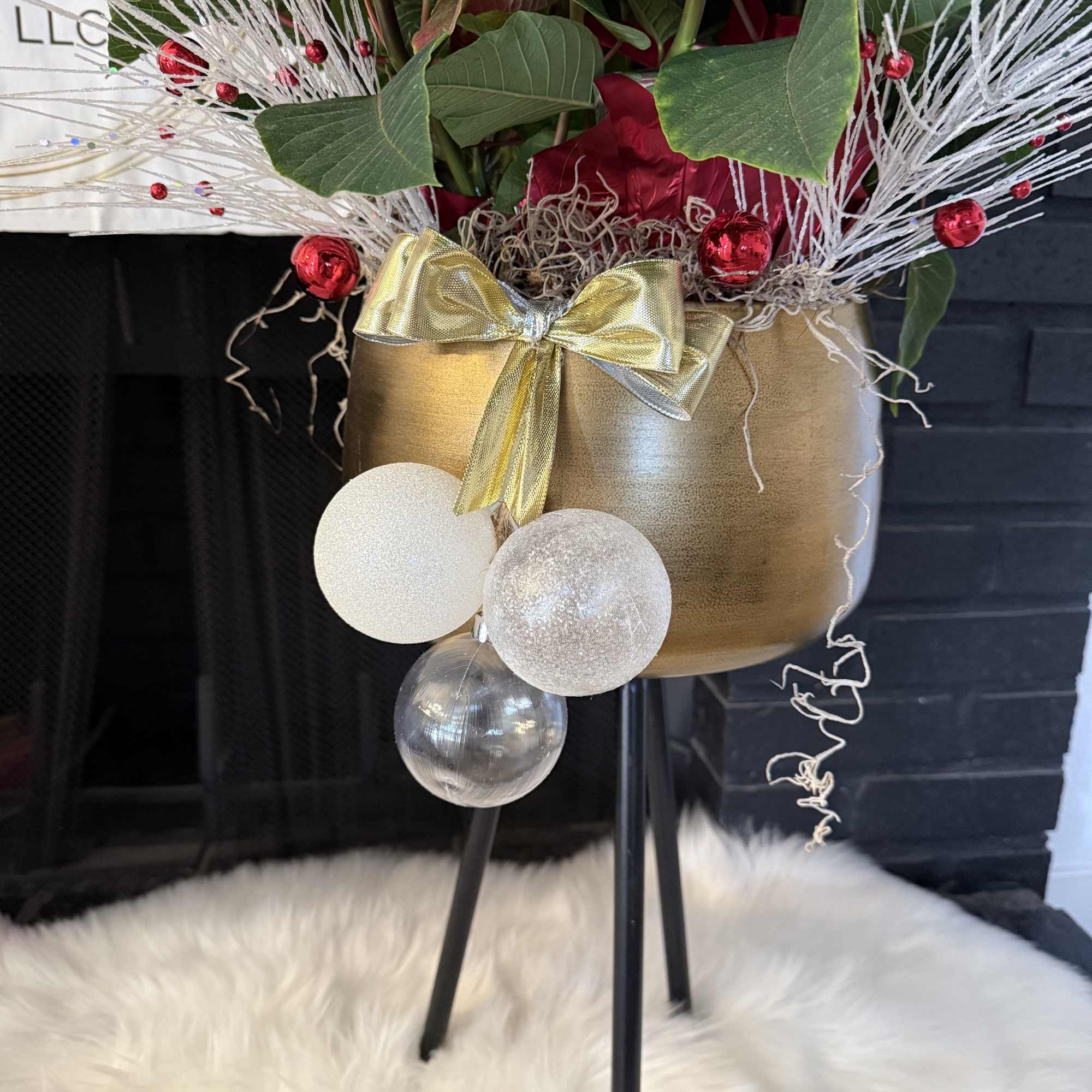 A beautiful Christmas poinsettia plant displayed in an elegant gold container, featuring