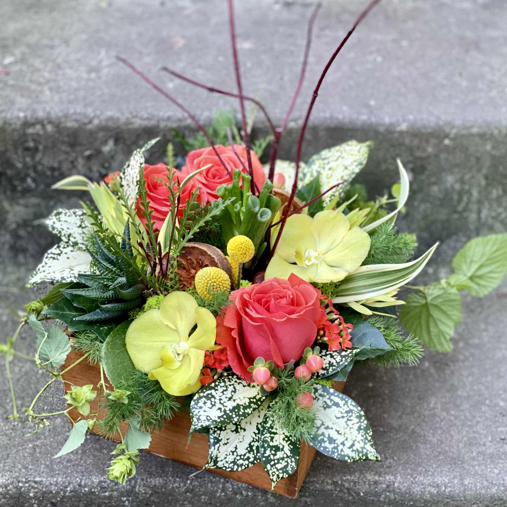 Our award-winning Texture Collection is a feast for the eyes, revealing another