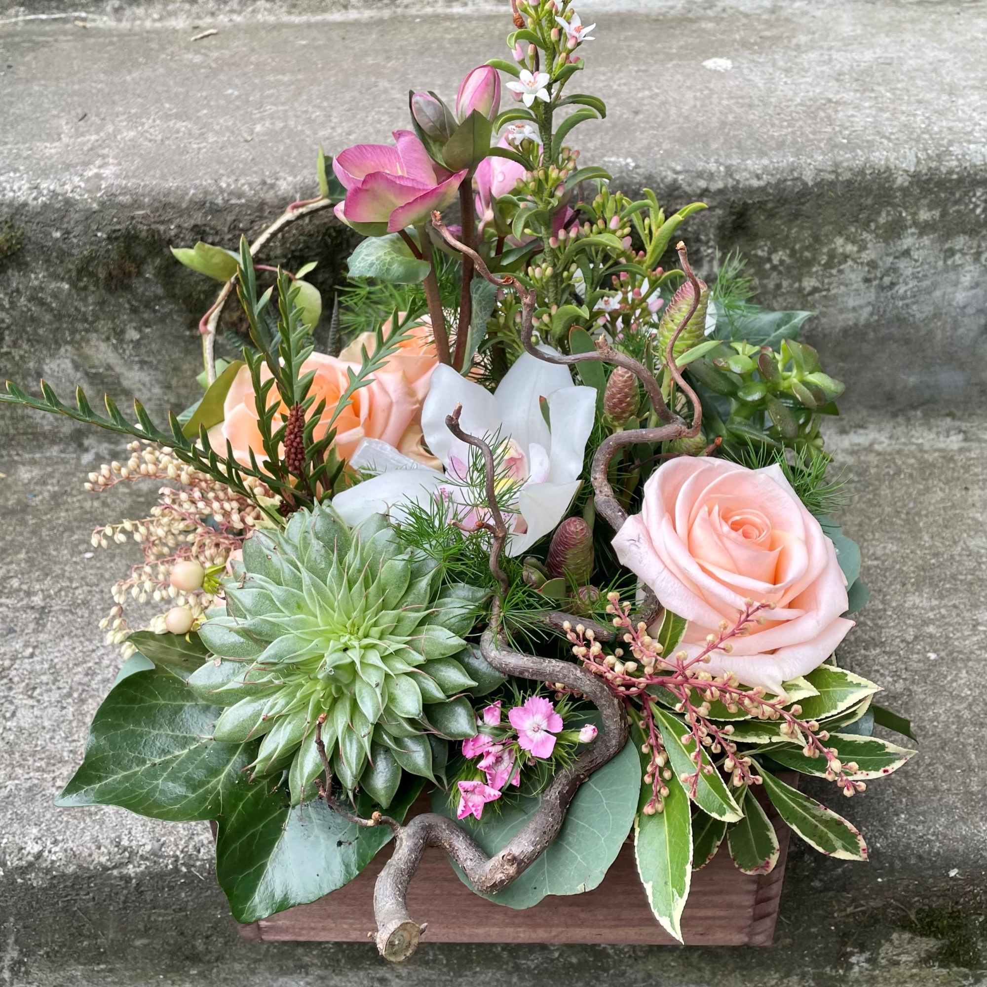 Our award-winning Texture Collection is a feast for the eyes, revealing another