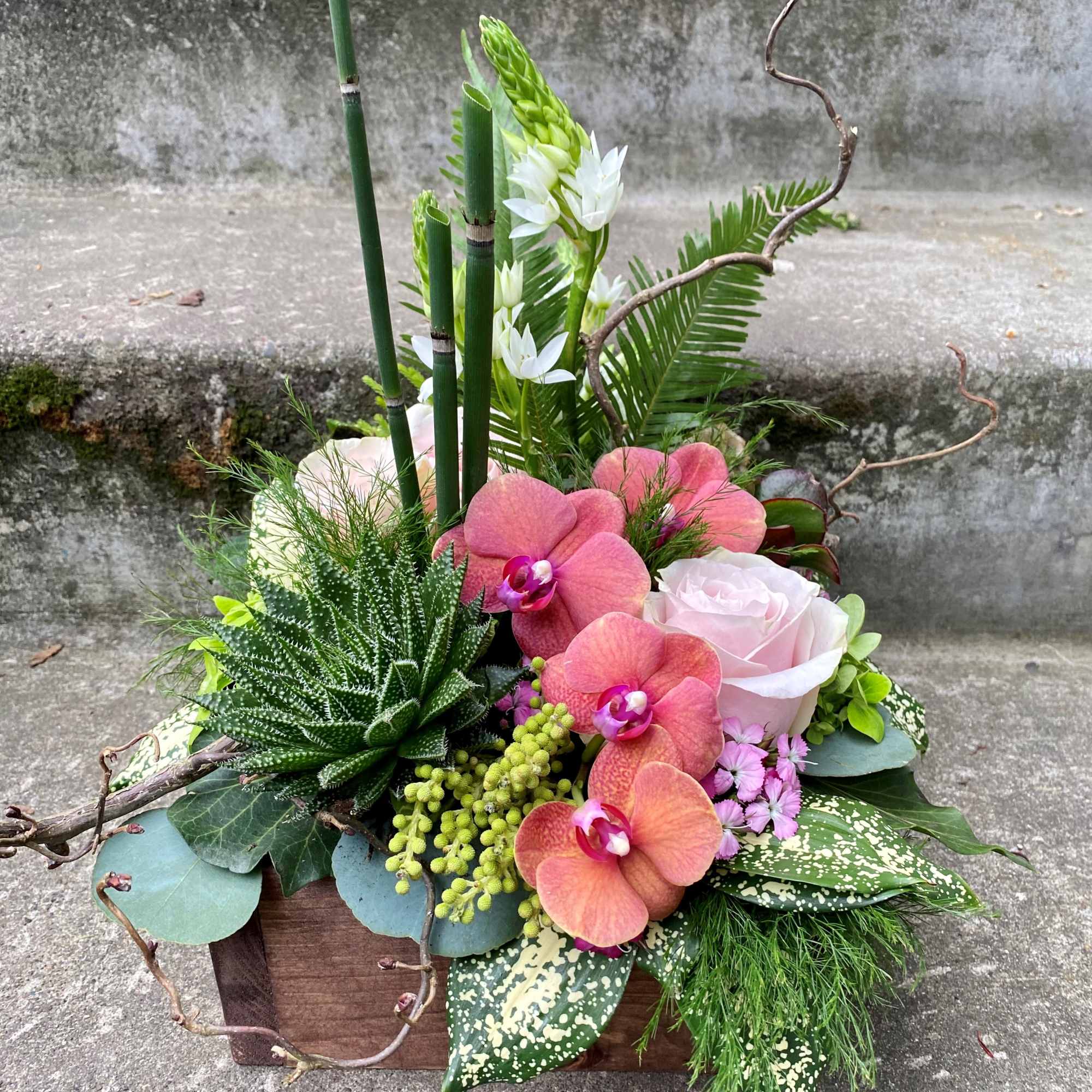 Our award-winning Texture Collection is a feast for the eyes, revealing another