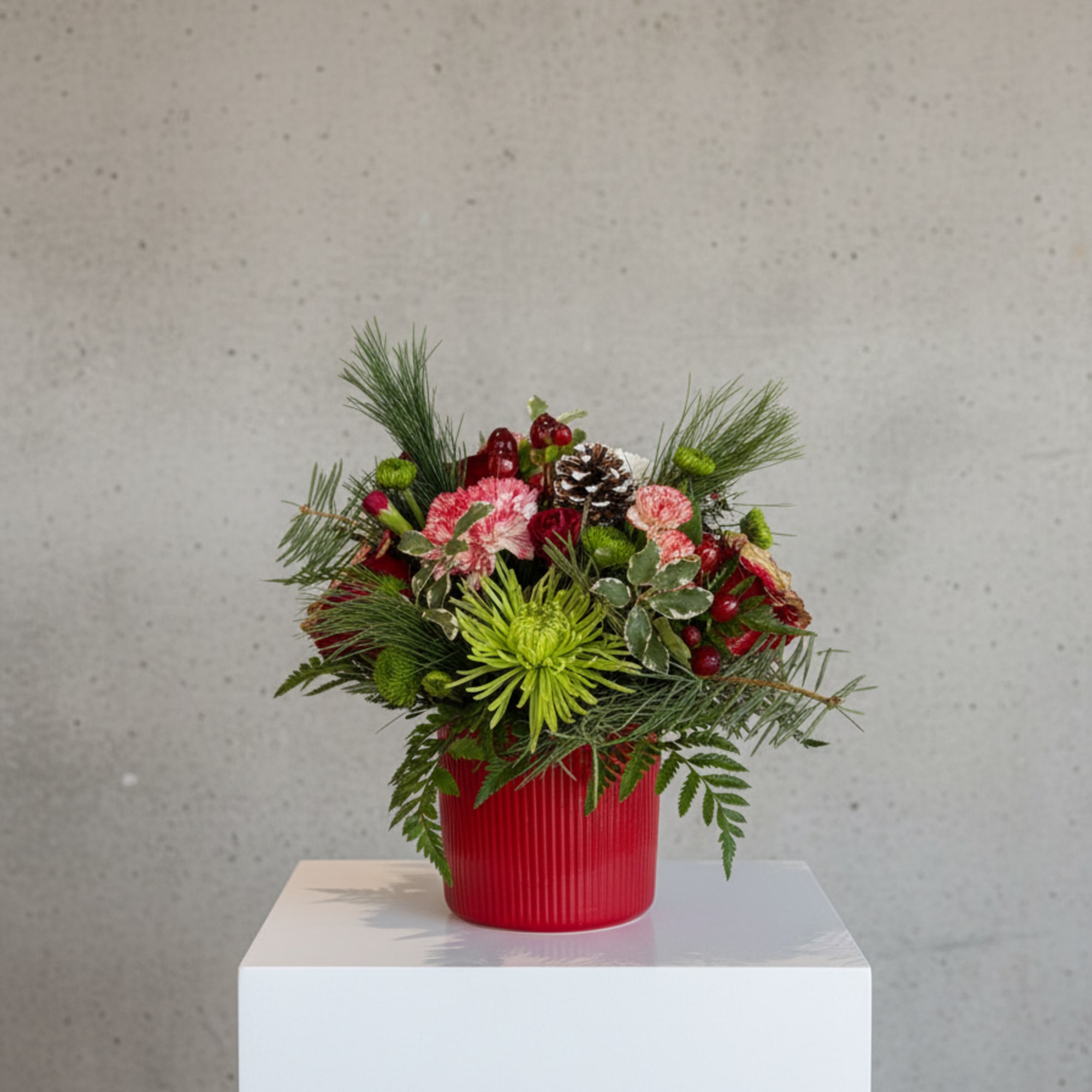 Bursting with red, green, white, and all the Christmas cheer you can