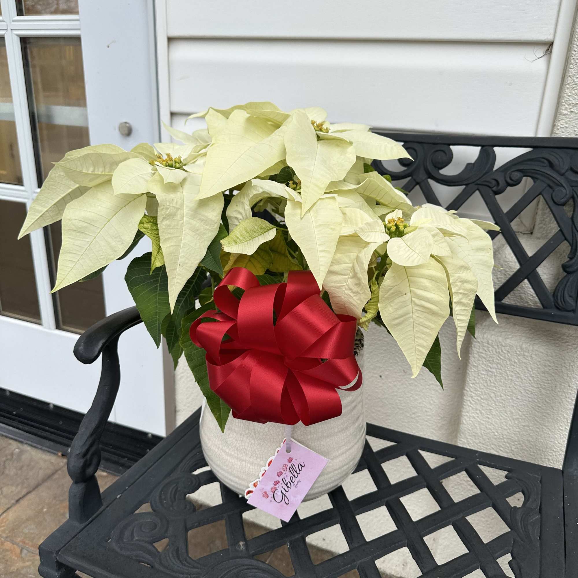 Poinsettias make any home feel ready for the holidays with their classic