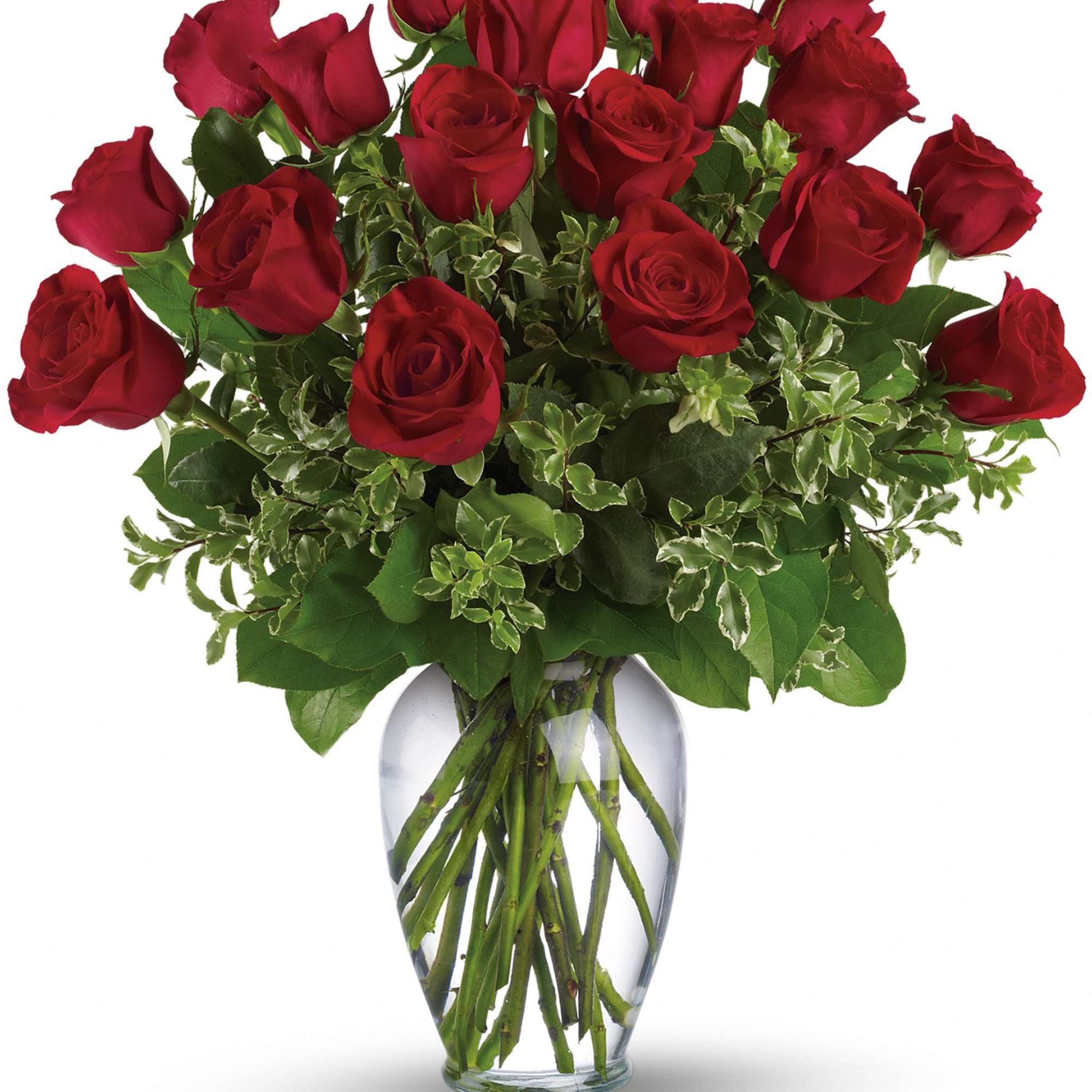 Premium Red Roses with assorted greens arranged in a glass vase. Red