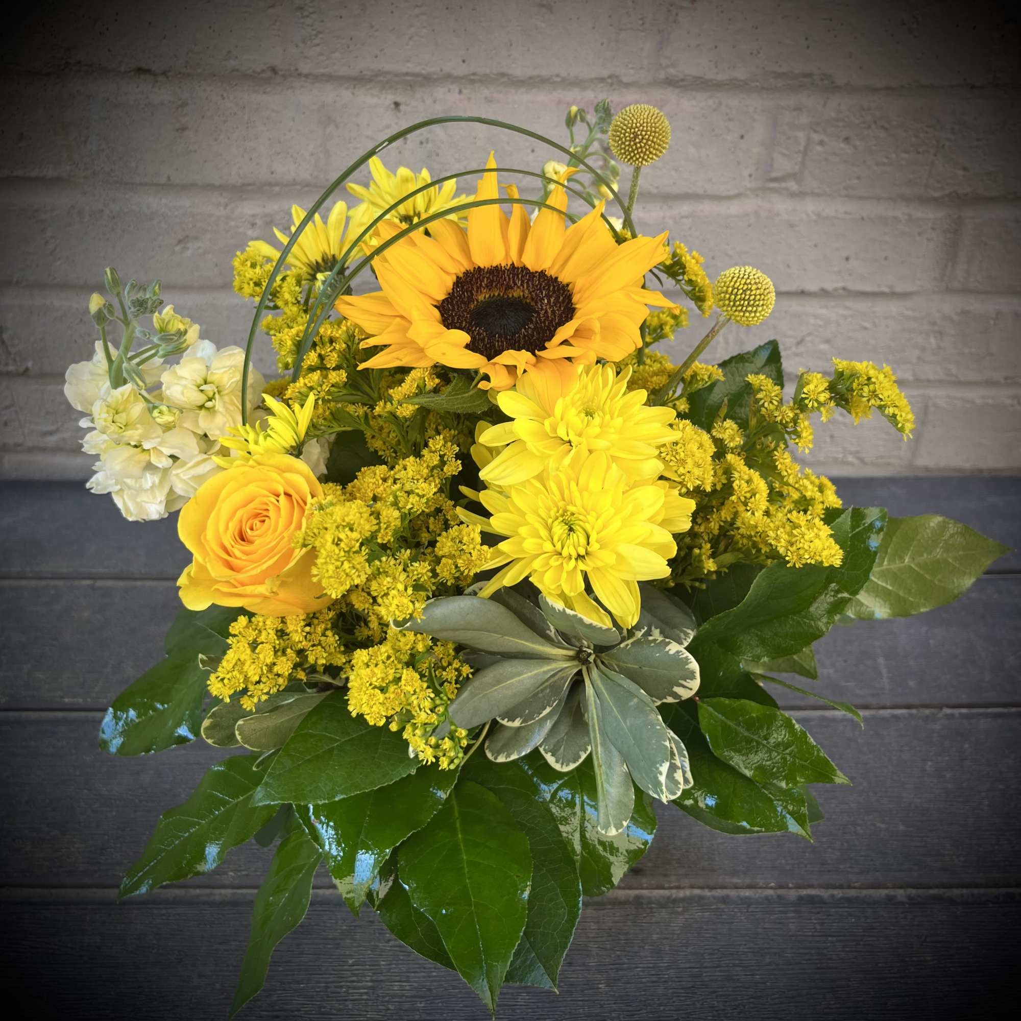 Mizzou-RAH!!! Capture the spirit of the University of Missouri Tigers (located here