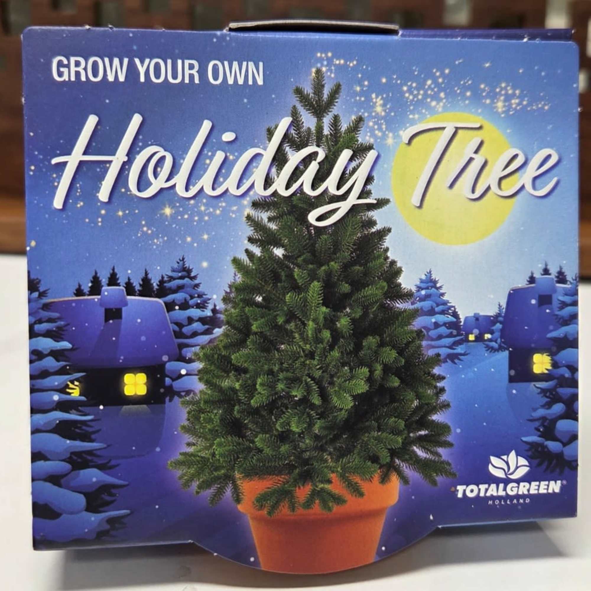 Bring a little magic to the season with our Grow Your Own