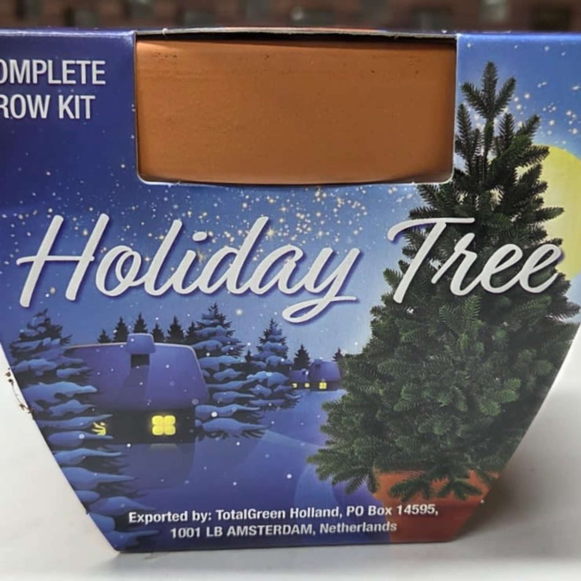 Bring a little magic to the season with our Grow Your Own