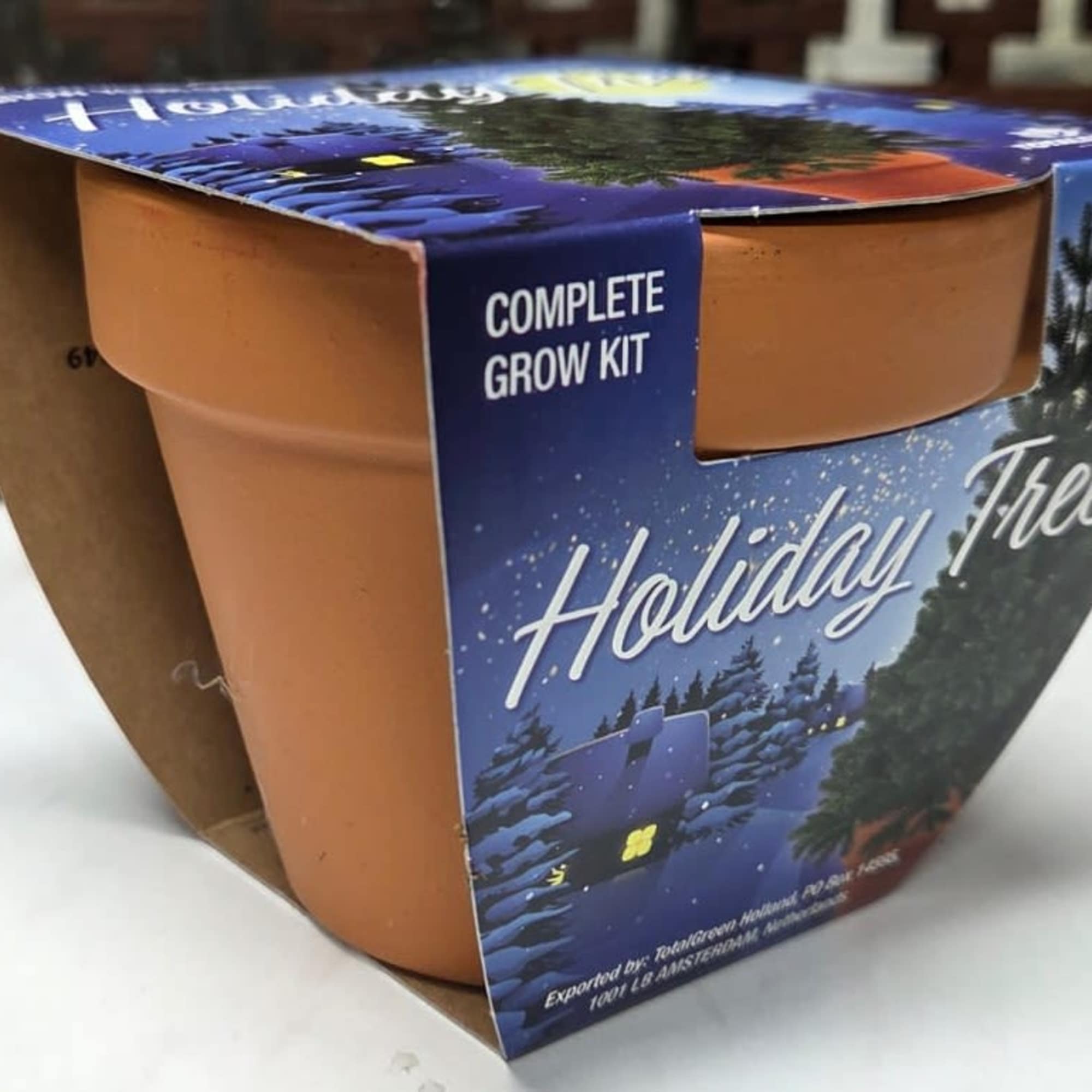 Bring a little magic to the season with our Grow Your Own
