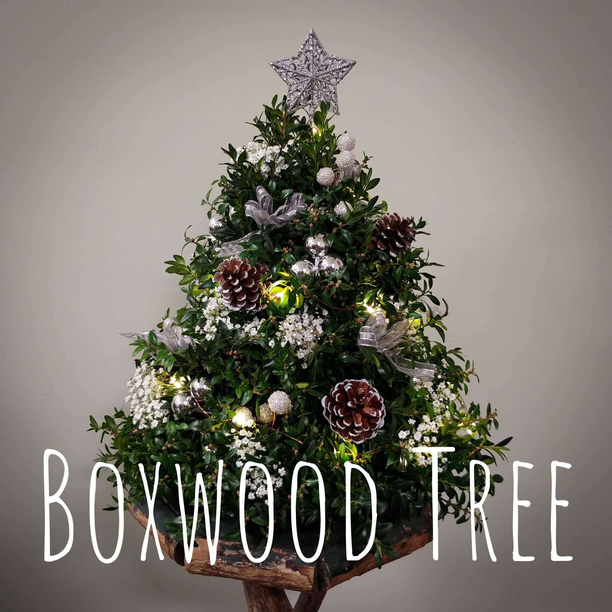 Colors can vary - if you have a specific color you would