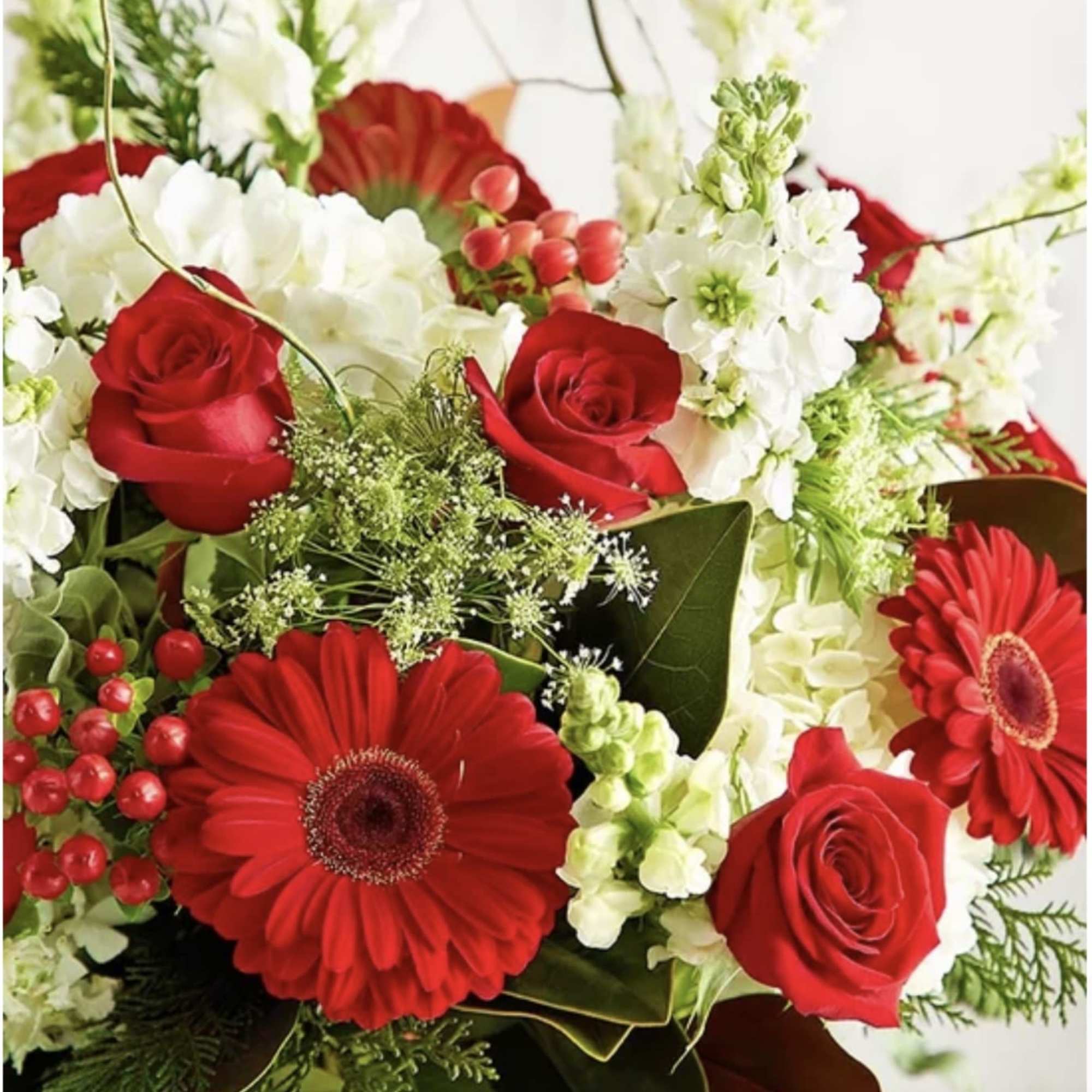 The mix of colors,its red tone iluminates this time ,accompanied by white