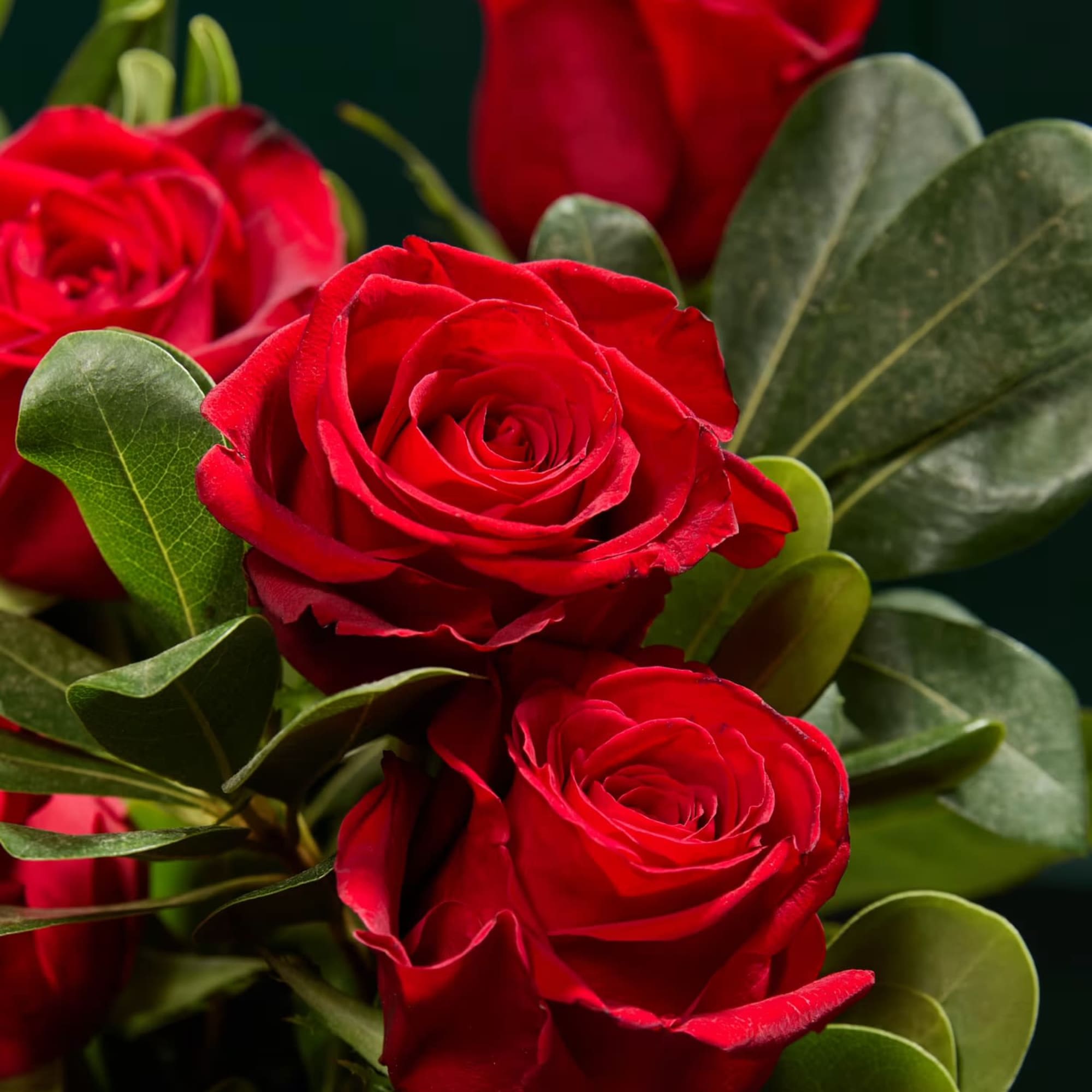 Celebrate timeless love and passion with the Classic Romance Bouquet, featuring a