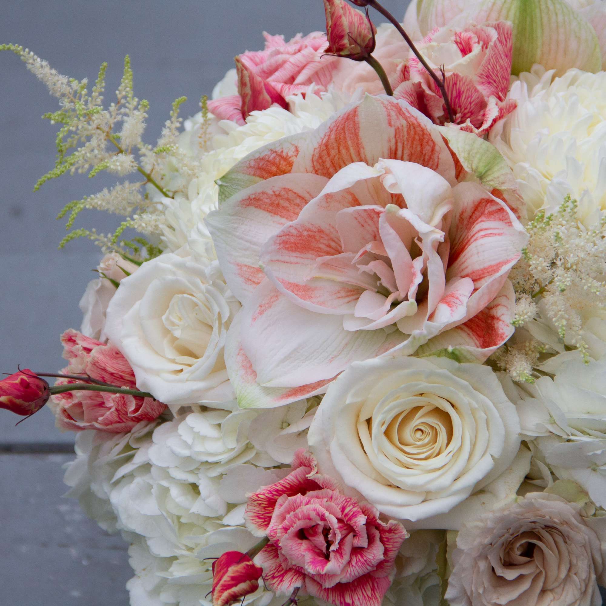 A luscious arrangement featuring red and white striped amaryllis and beautiful red