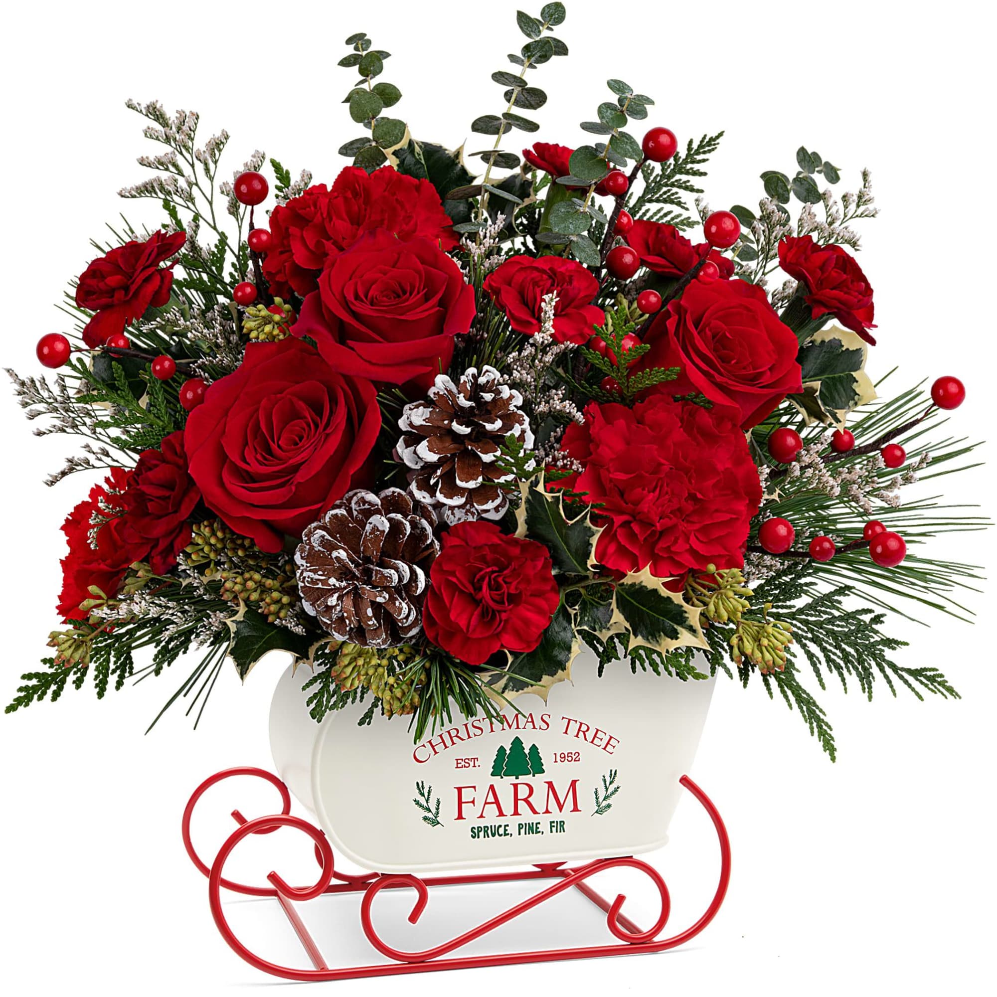 All aboard for Christmas fun! This sweet metal sled joyfully delivers a