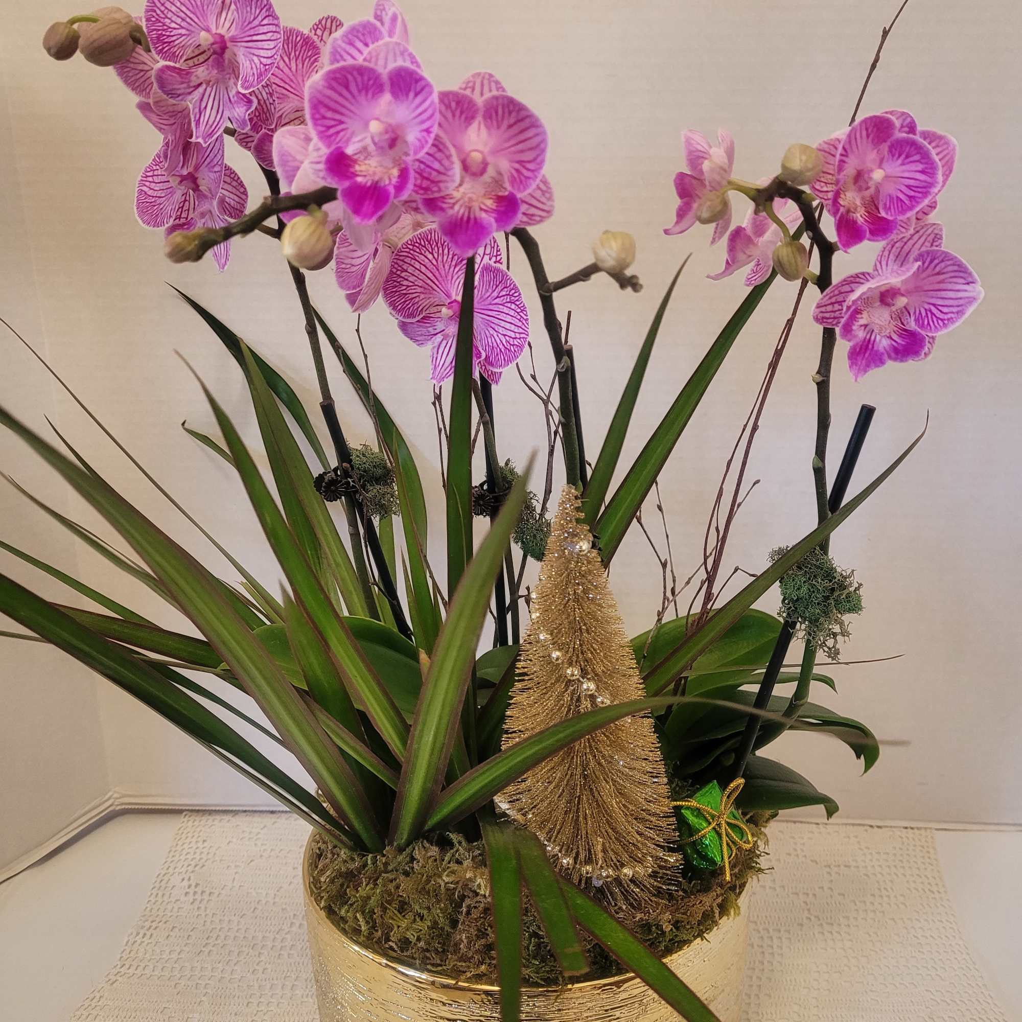 Four stems of a varigated Phalaenopsis orchids featured in a round gold