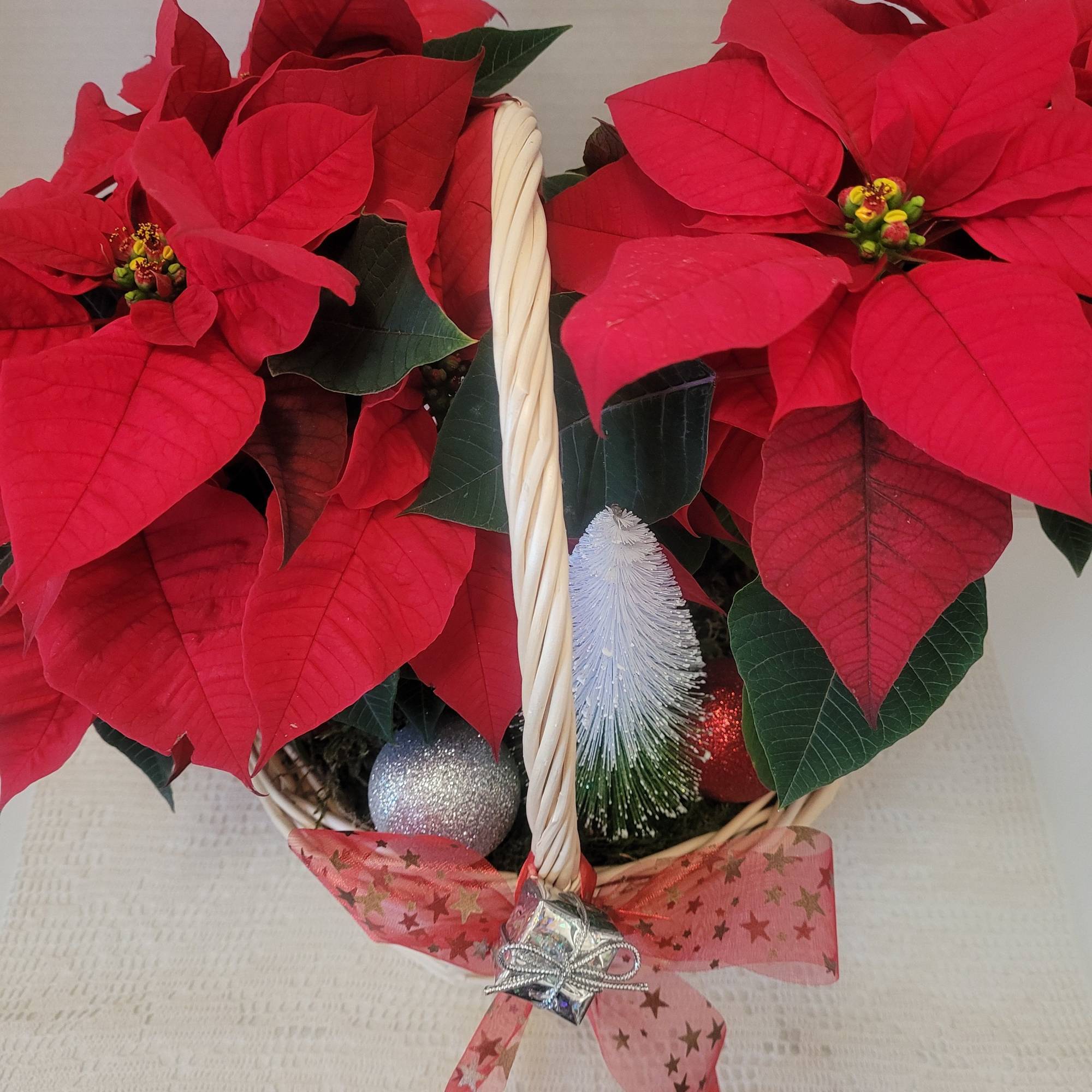 A beautiful dish garden filled with festive poinsettias and faux embellishments. Add