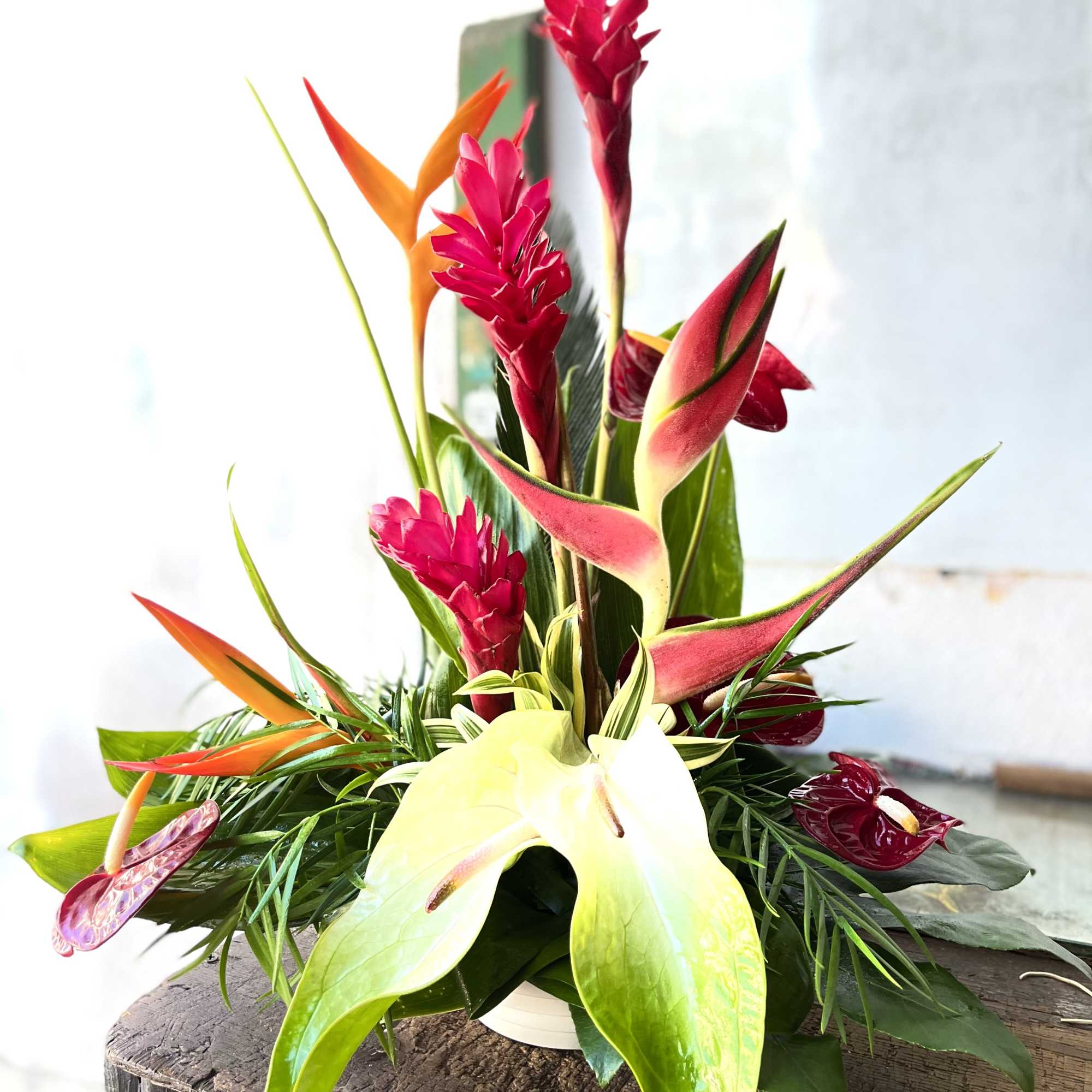 RED or PINK GINGERS, Obake &amp; Red ANTHURIUMS, SONG OF INDIA, ARECA