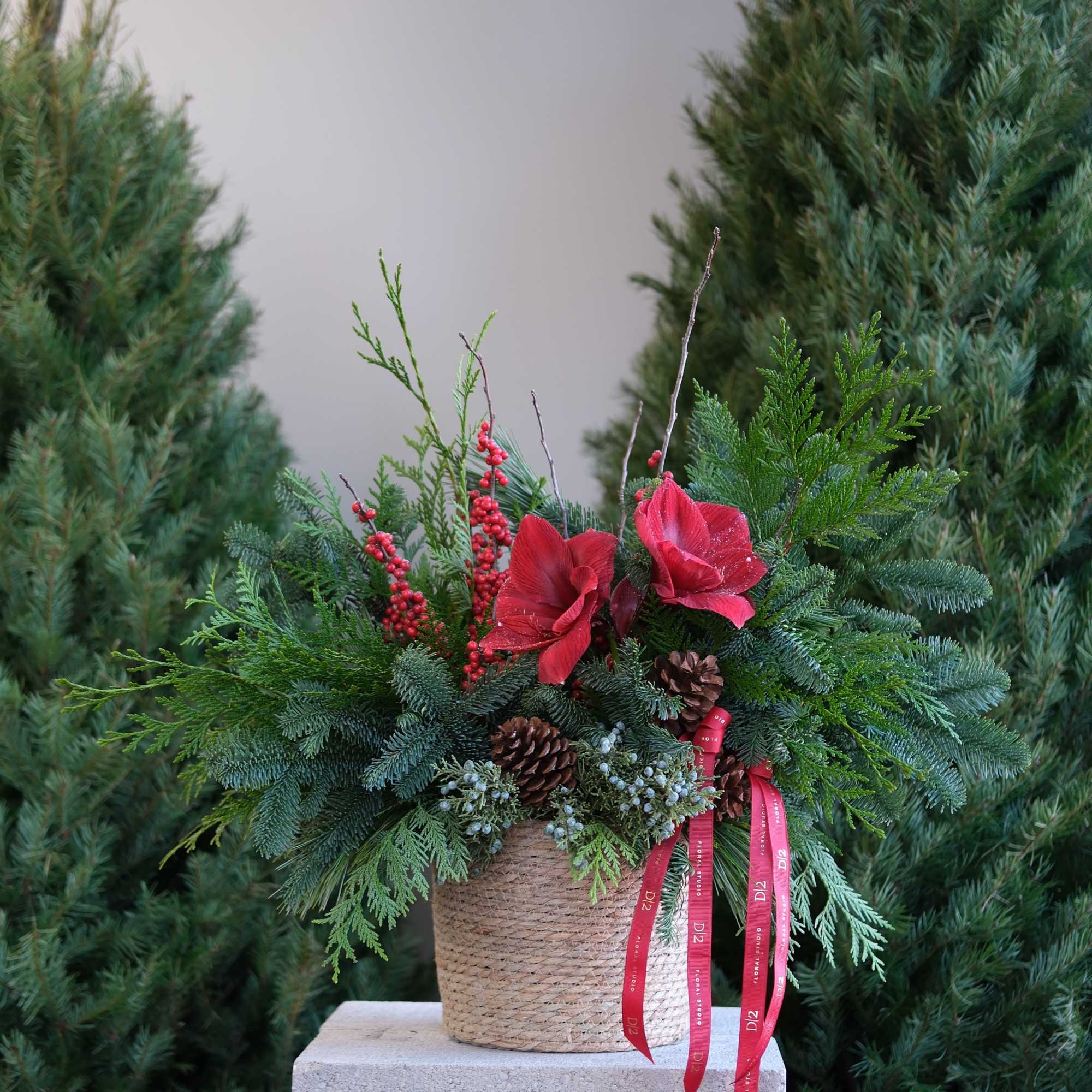 A festive mix of evergreens, red amaryllis, berries, and pinecones in a