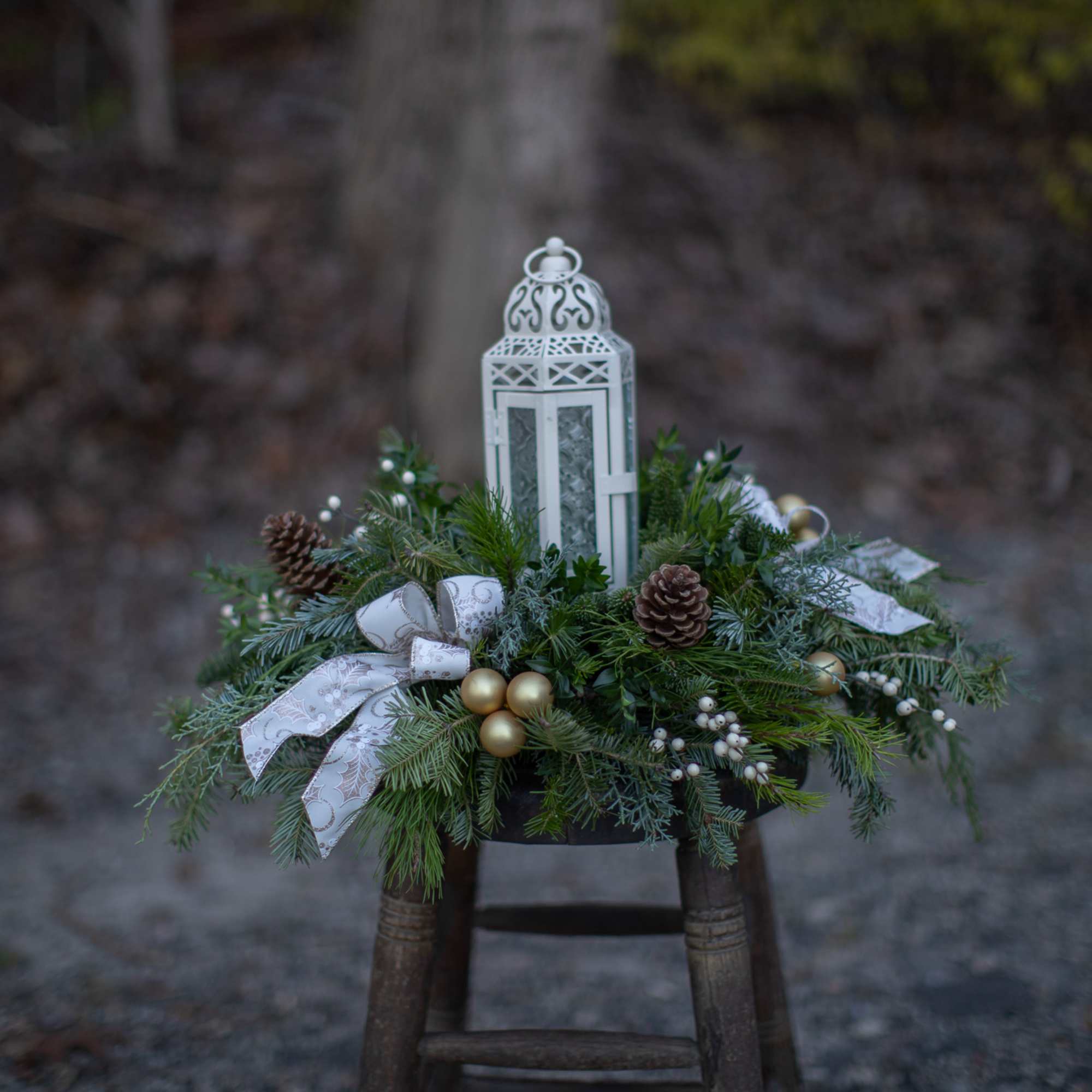 Fill your home or a loved ones with the ambient glow of