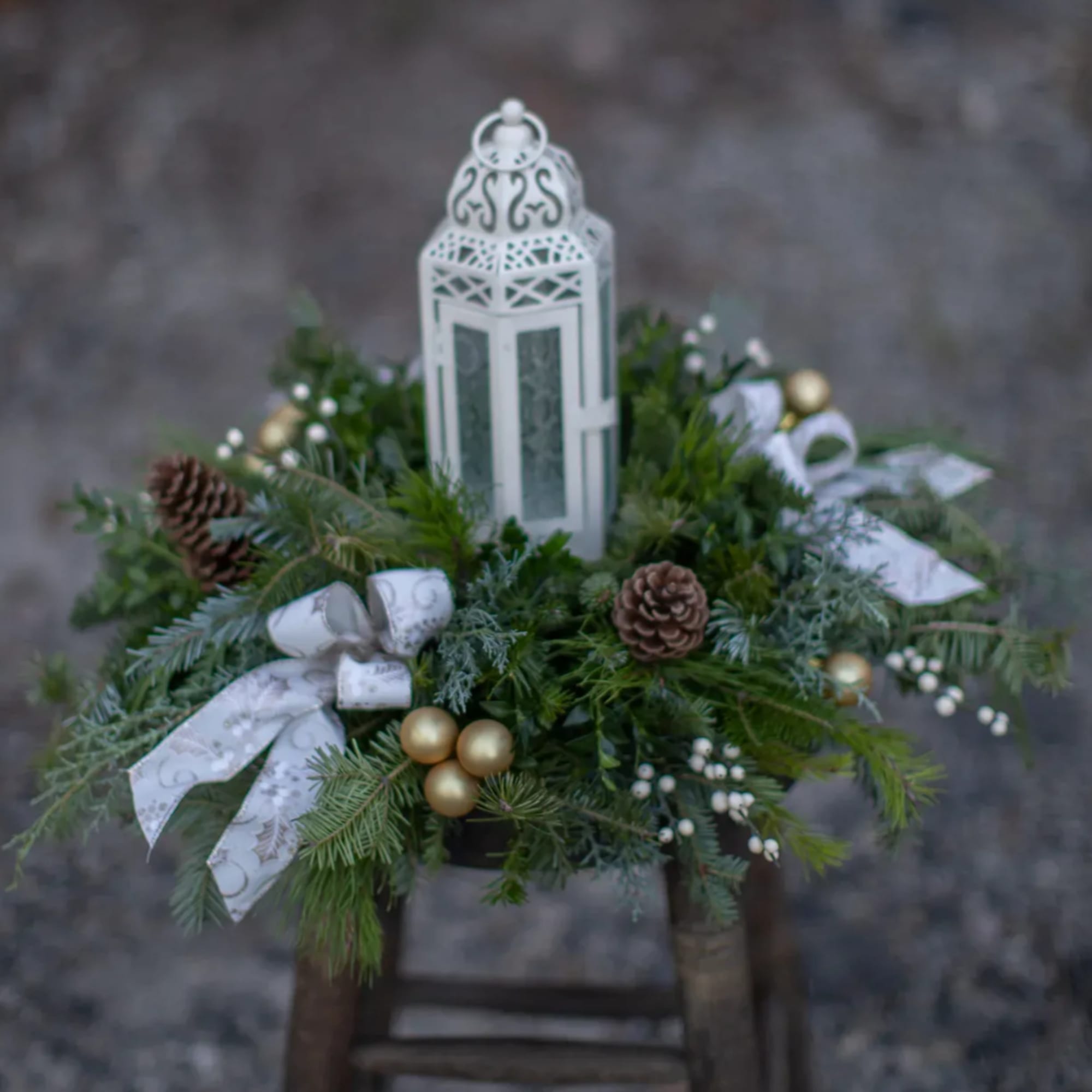 Fill your home or a loved ones with the ambient glow of